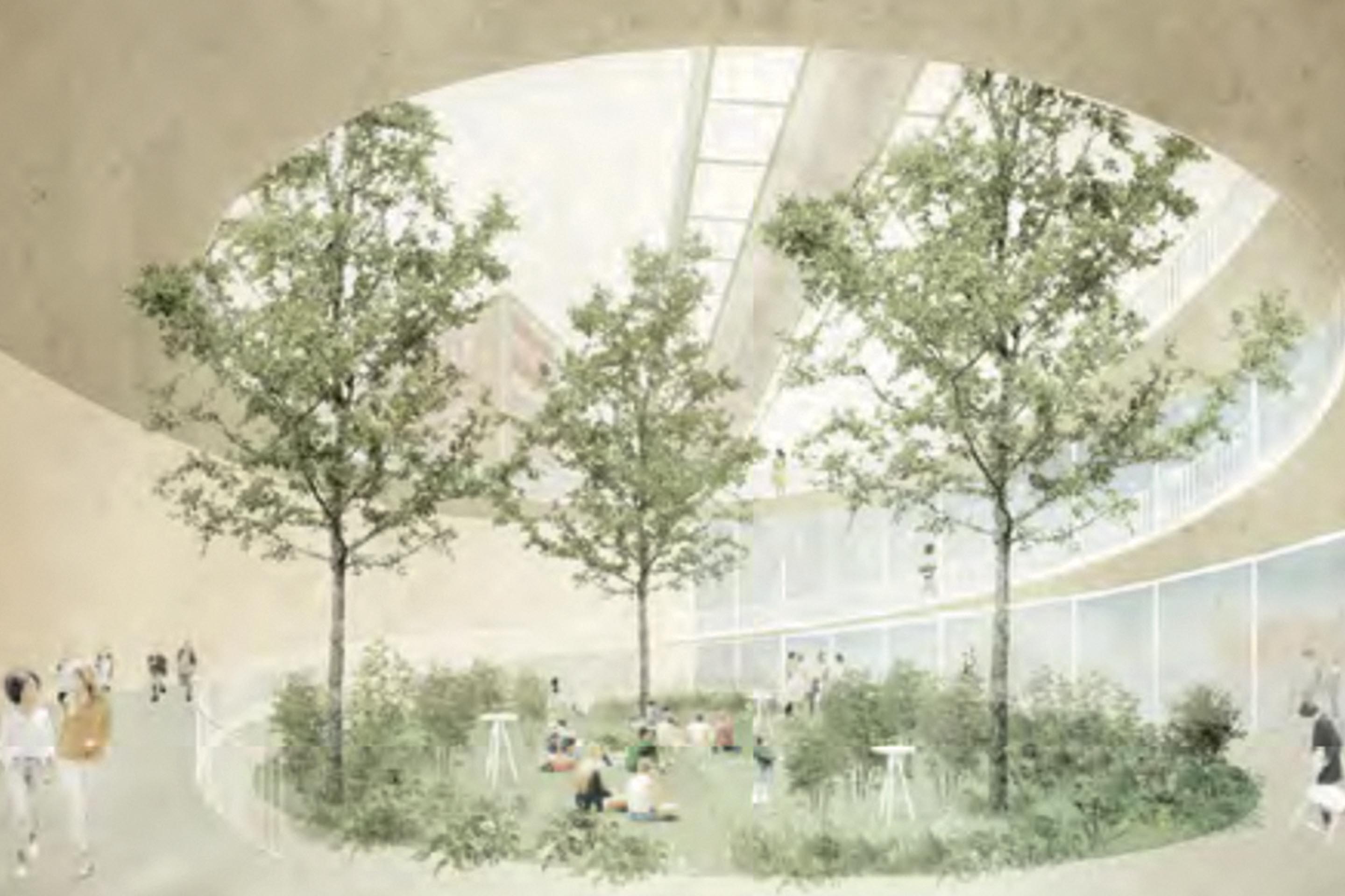 Les possibilités d’une île (indemnisé), Projet-Co Architectes.