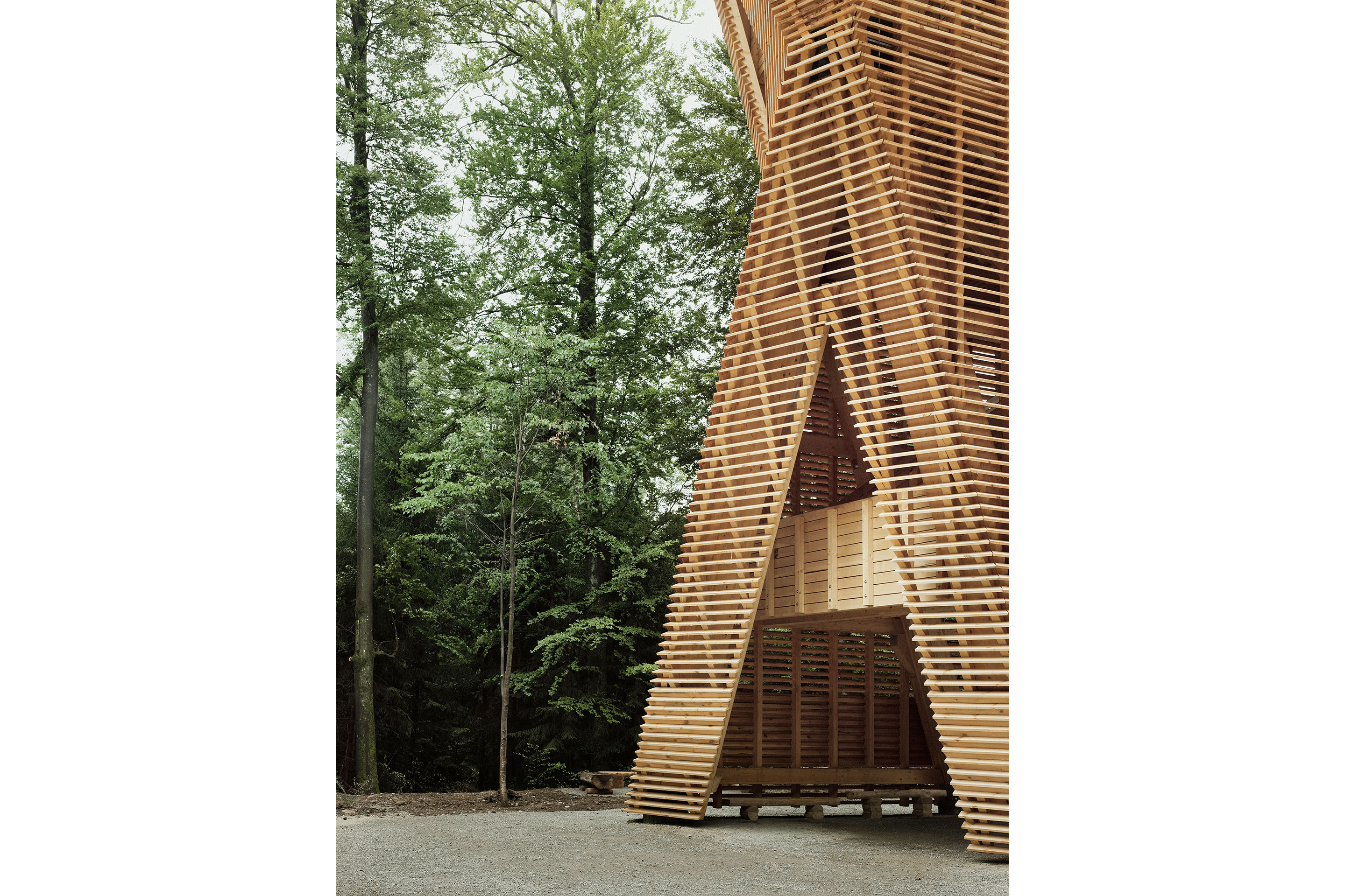 Aussichtsturm-Hardwald-Eingang