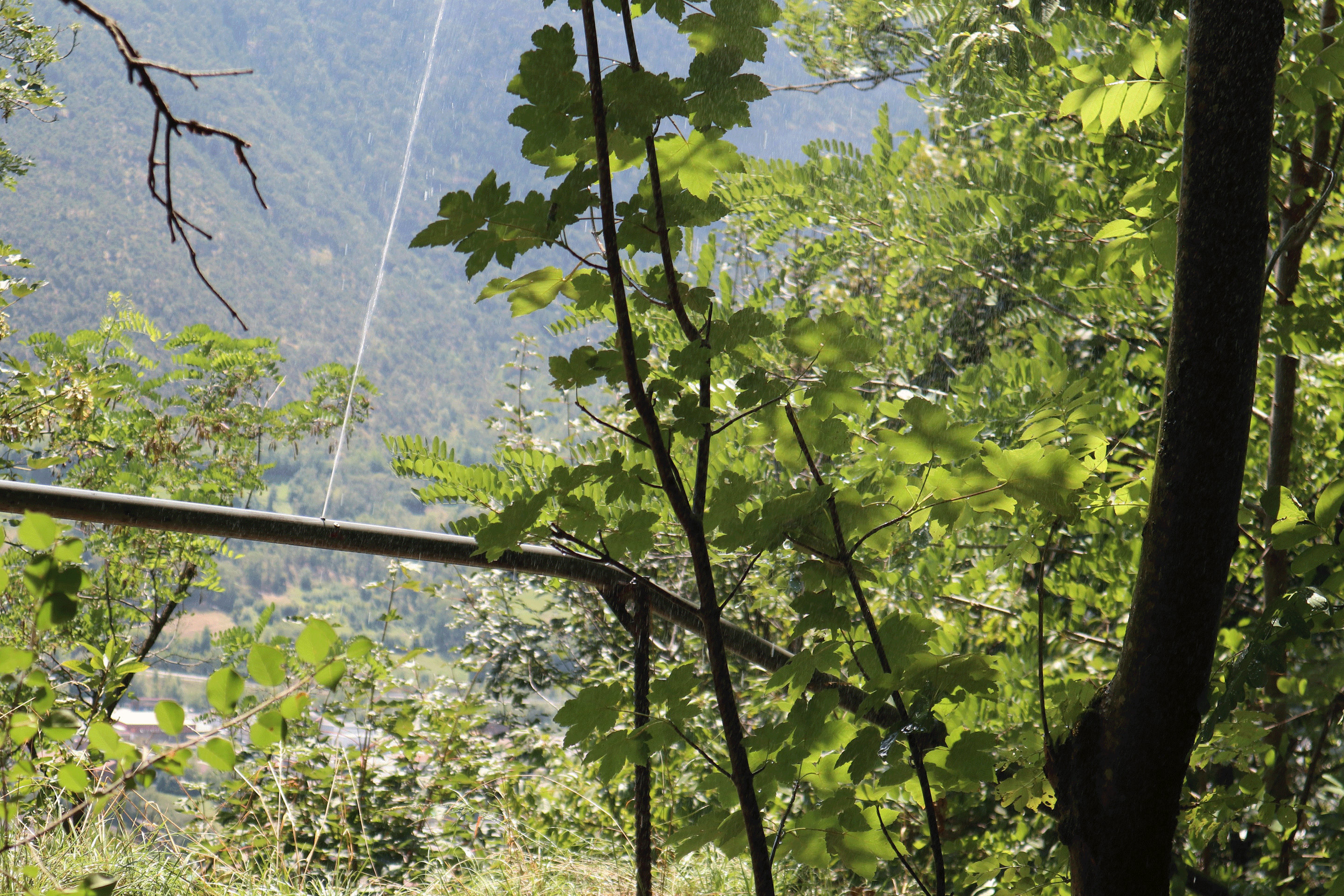 In Betrieb: Alle drei Wochen wird während 24 Stunden bewässert. Pro Bewässerungszyklus gelangen ca. 35 Liter Wasser pro Quadratmeter auf den Boden. Nur wenn es während drei Tagen mindesten 30 mm Niederschlag gibt, wird auf die nächste Bewässerung verzichtet.