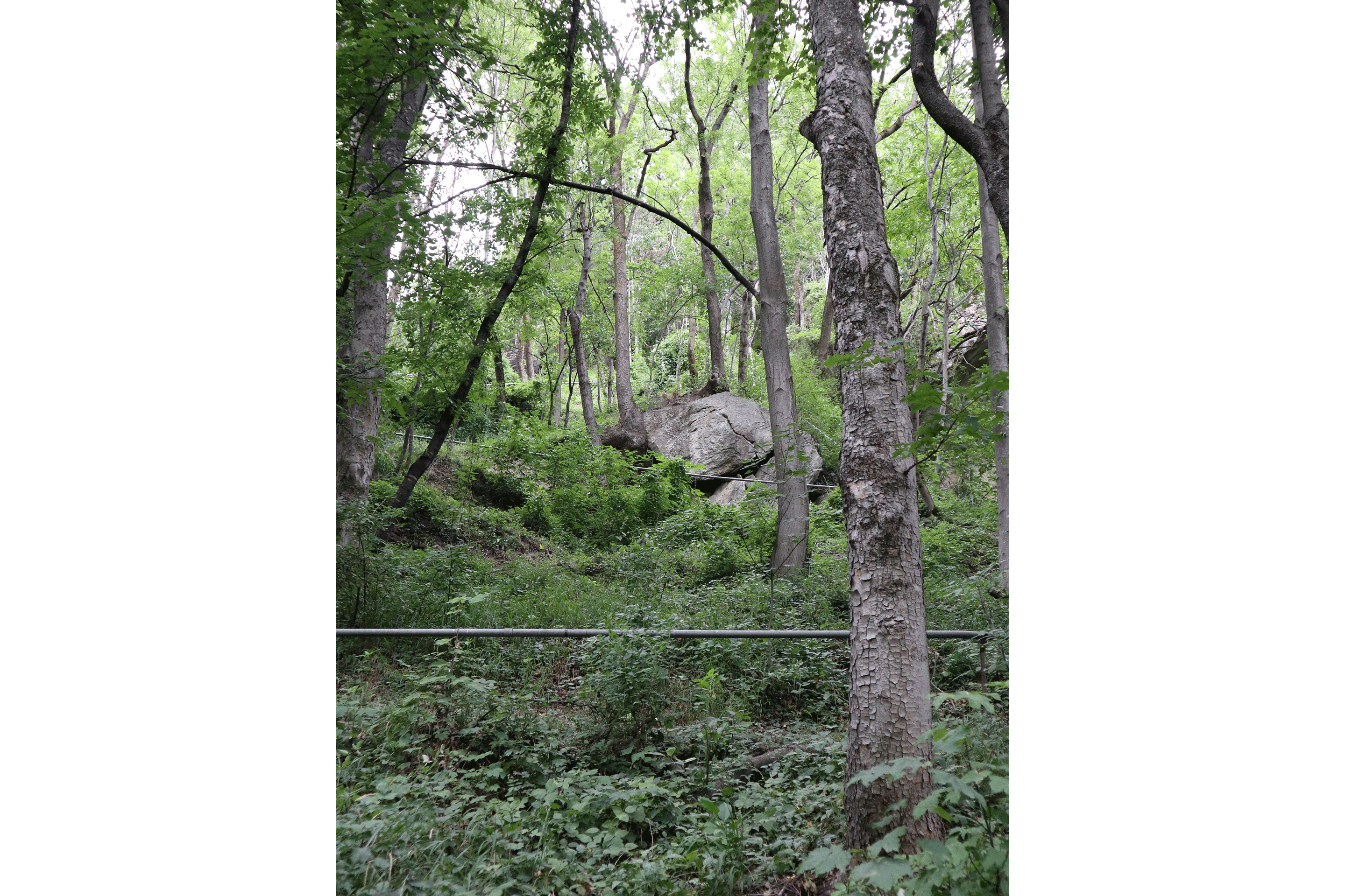Die Feinverteilung des Wassers erfolgt in der Regel in Rohren hangparallel in Abständen von rund 20 Metern.