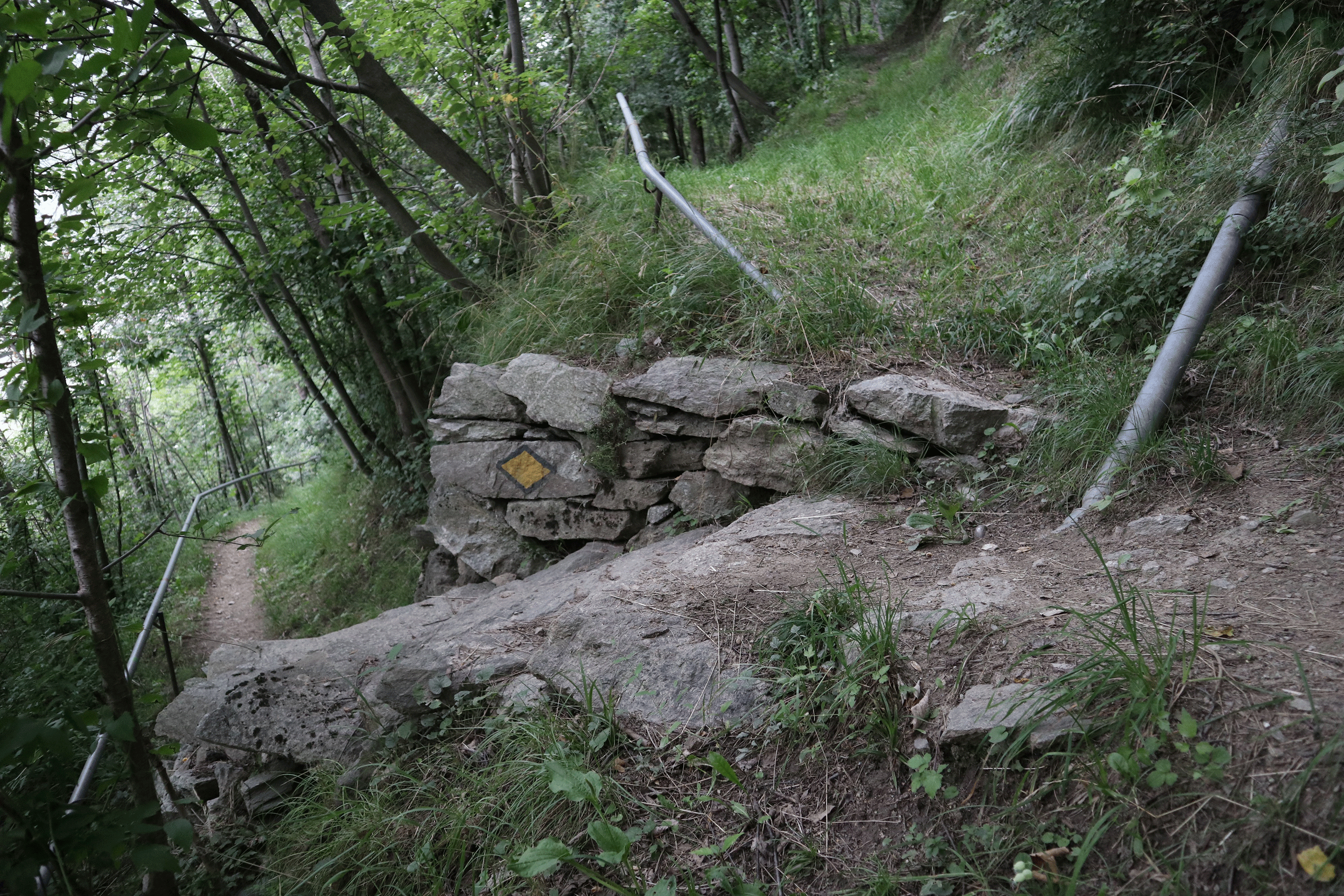 Der bewässerte Schutzwald ist mit einem Bewässerungssystem aus Metallrohren ausgestattet.