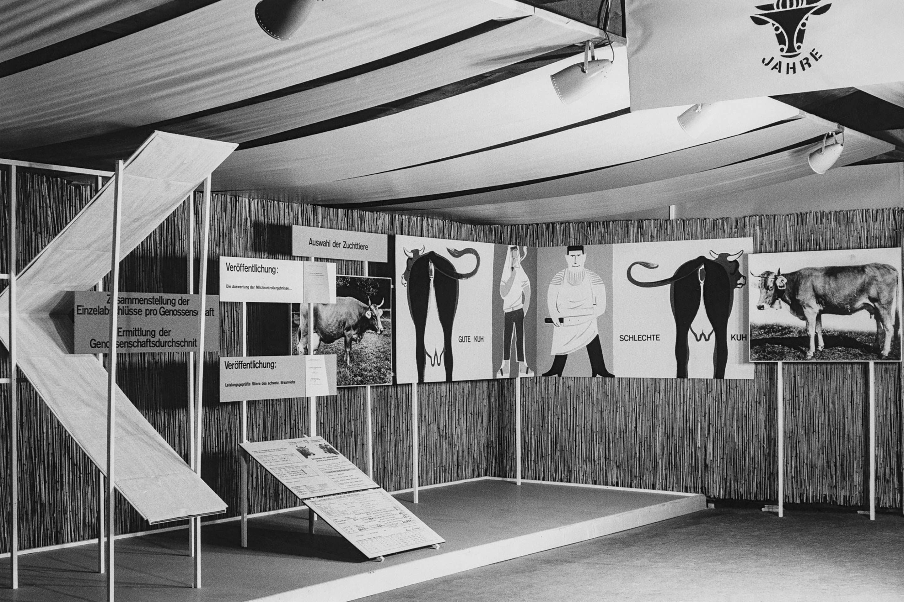 Walter F. Haettenschweiler, Schweizerischer Braunviehzuchtverband, Ausstellungsgestaltung, 1957.