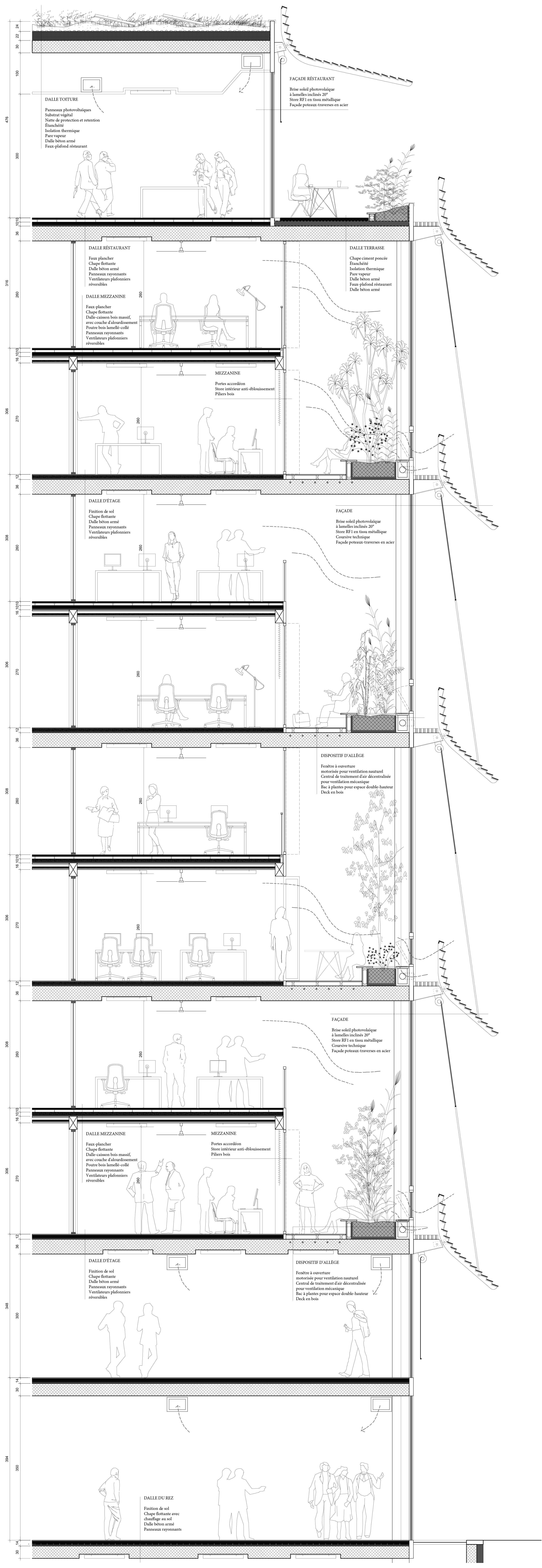 Junon, coupe constructive de la façade