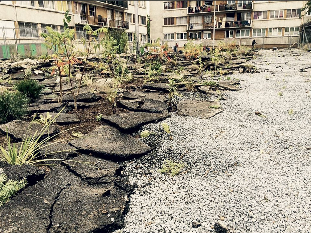 Tout garder: Jardin des Joyeux à La Maladrerie, Aubervilliers. L’intervention porte sur un parking à l’abandon de cette cité-jardin des années 1980, dont la couche d’enrobé a été cassée en 2015 pour empêcher tout accès aux véhicules motorisés. Dans l’attente d’un nouveau projet urbain, Wagon Landscaping transforme en cinq jours de chantier ce chaos en un jardin de rocaille géant de 1600 m2 – dans la tradition des jardins alpins du 19e siècle, avec 150 espèces de plantes.