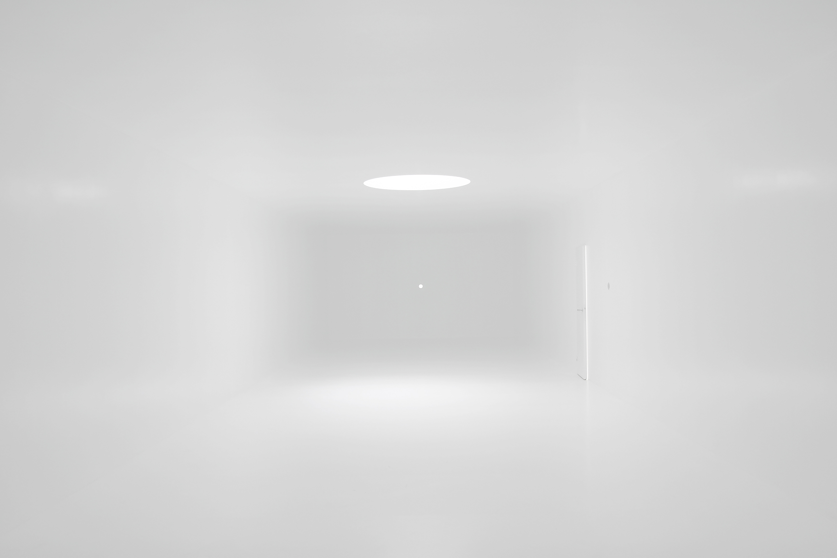 “1:1”, Padiglione nazionale rumeno, XII Biennale di Venezia, 2010 – Prospettiva dello spazio interno.