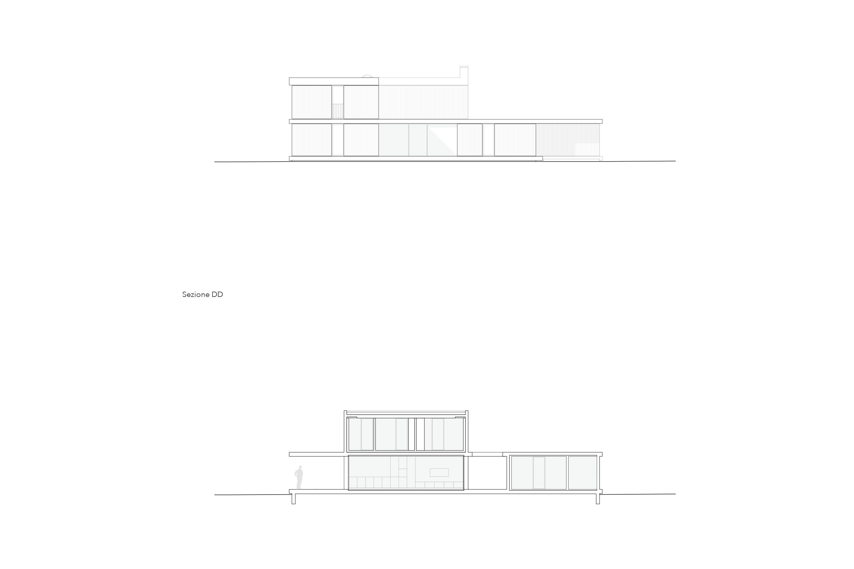Sezione longitudinale.