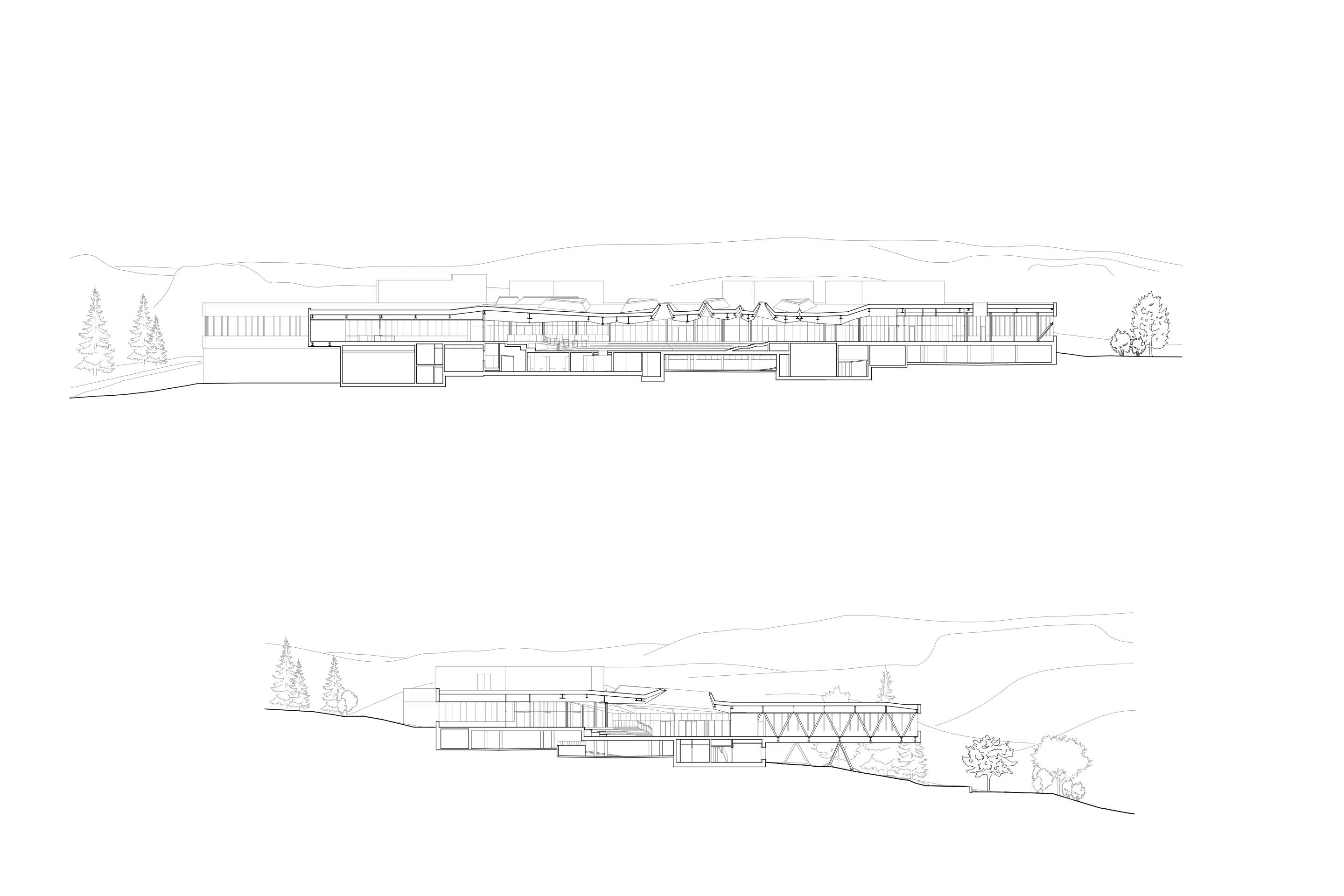 Sezioni longitudinali.