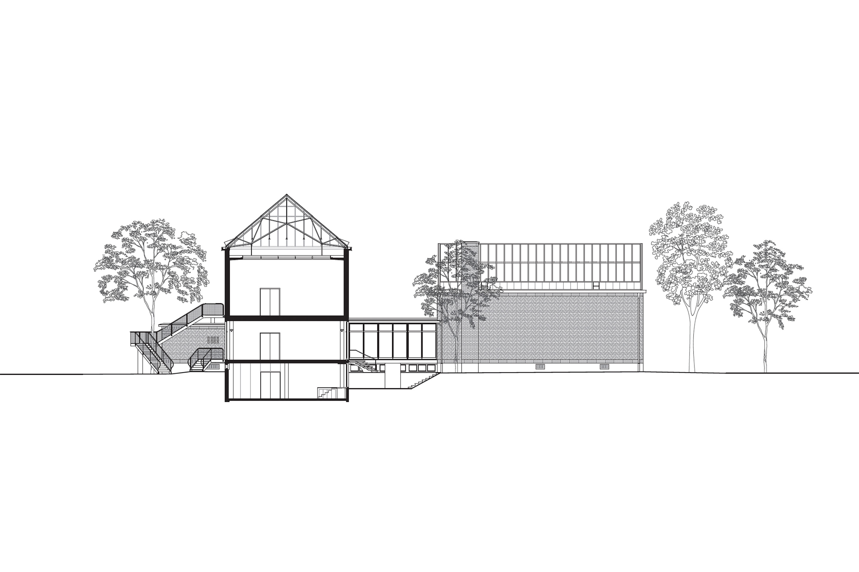 Sezione longitudinale.