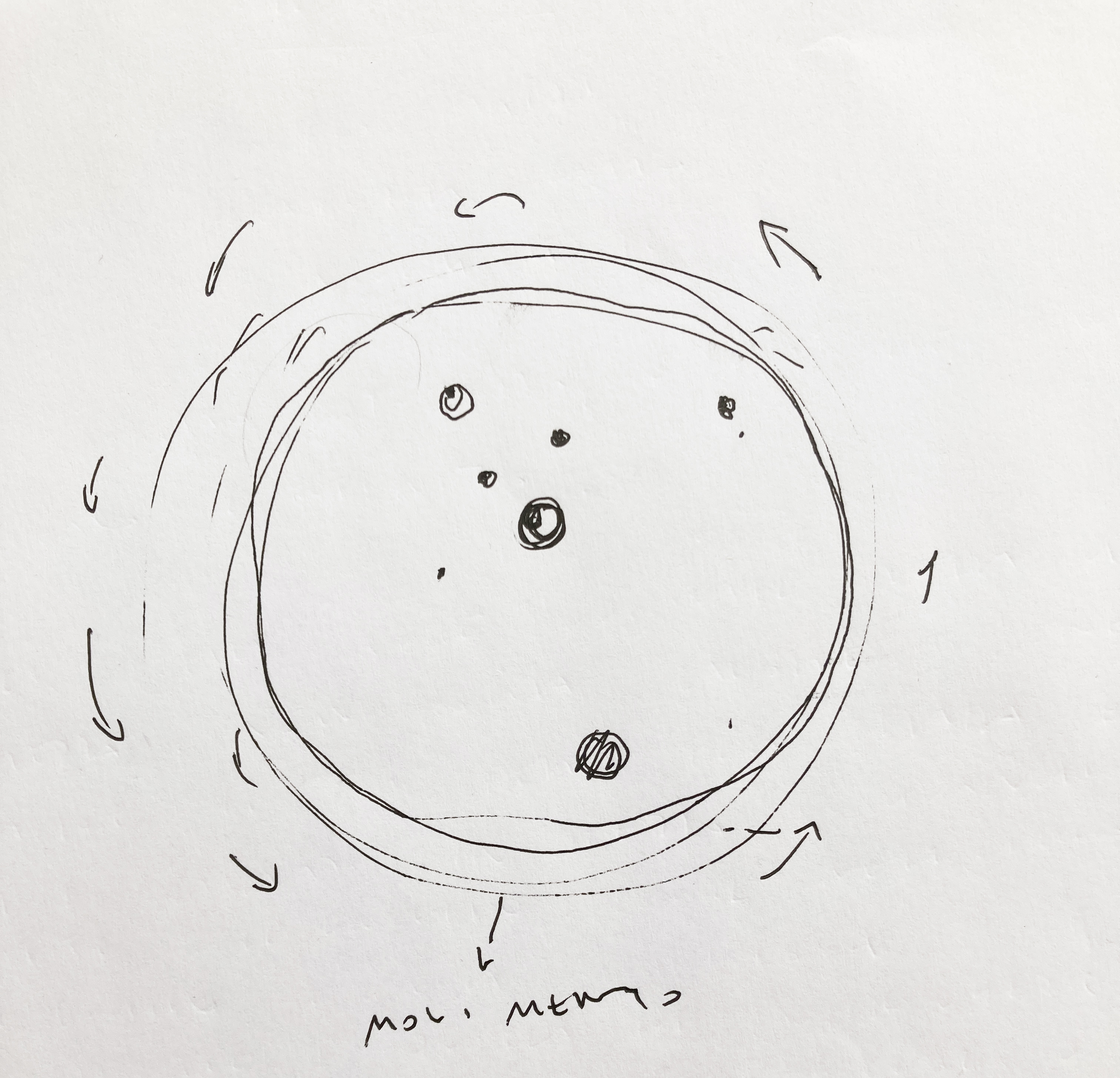 Schizzo: Lopes Brenna Architetti