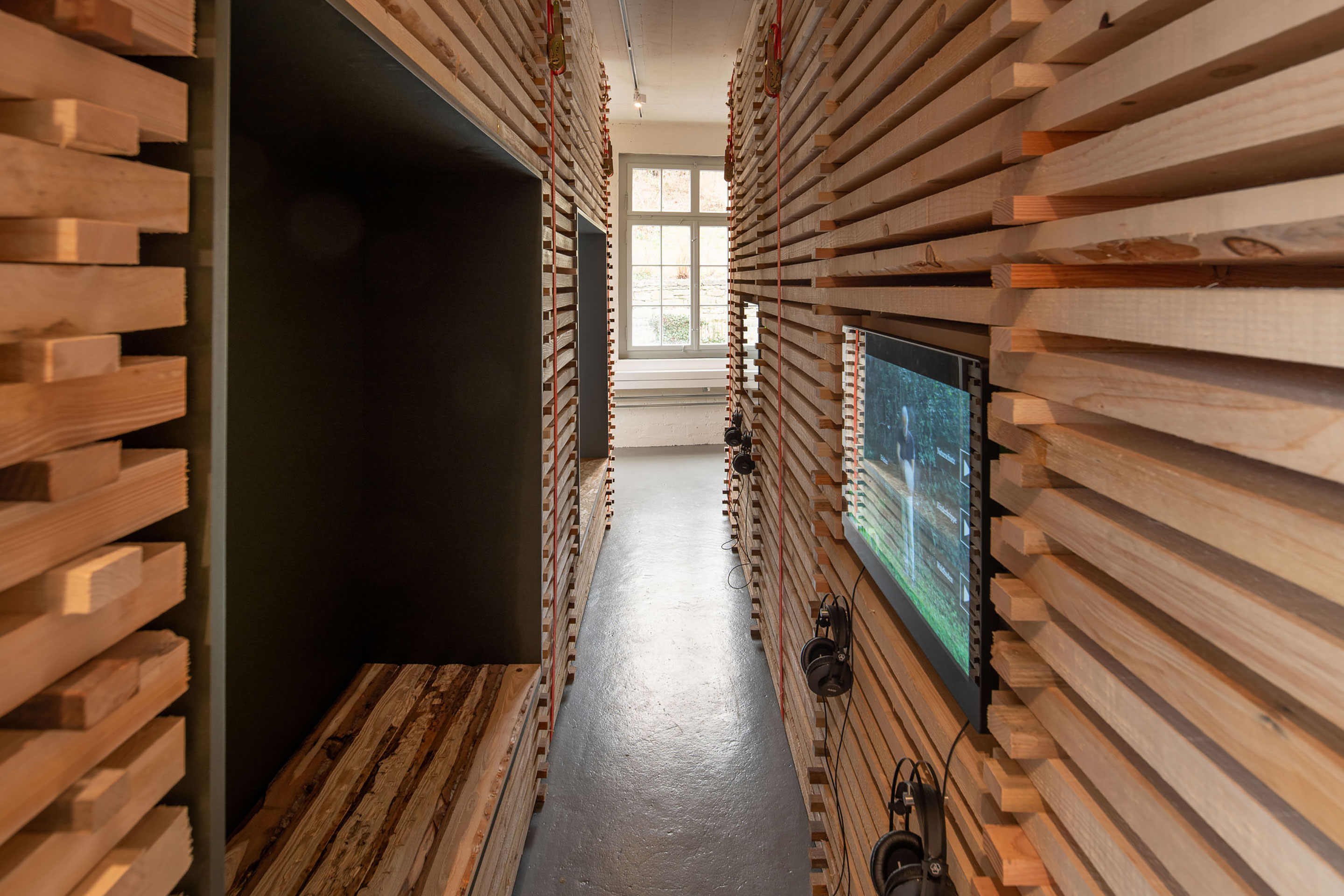 Die Holzstapel bilden ein angenehmen Rahmen, um den interviewten Personen mit ihren Ansprüchen und Wünschen an den Wald zuzuhören.