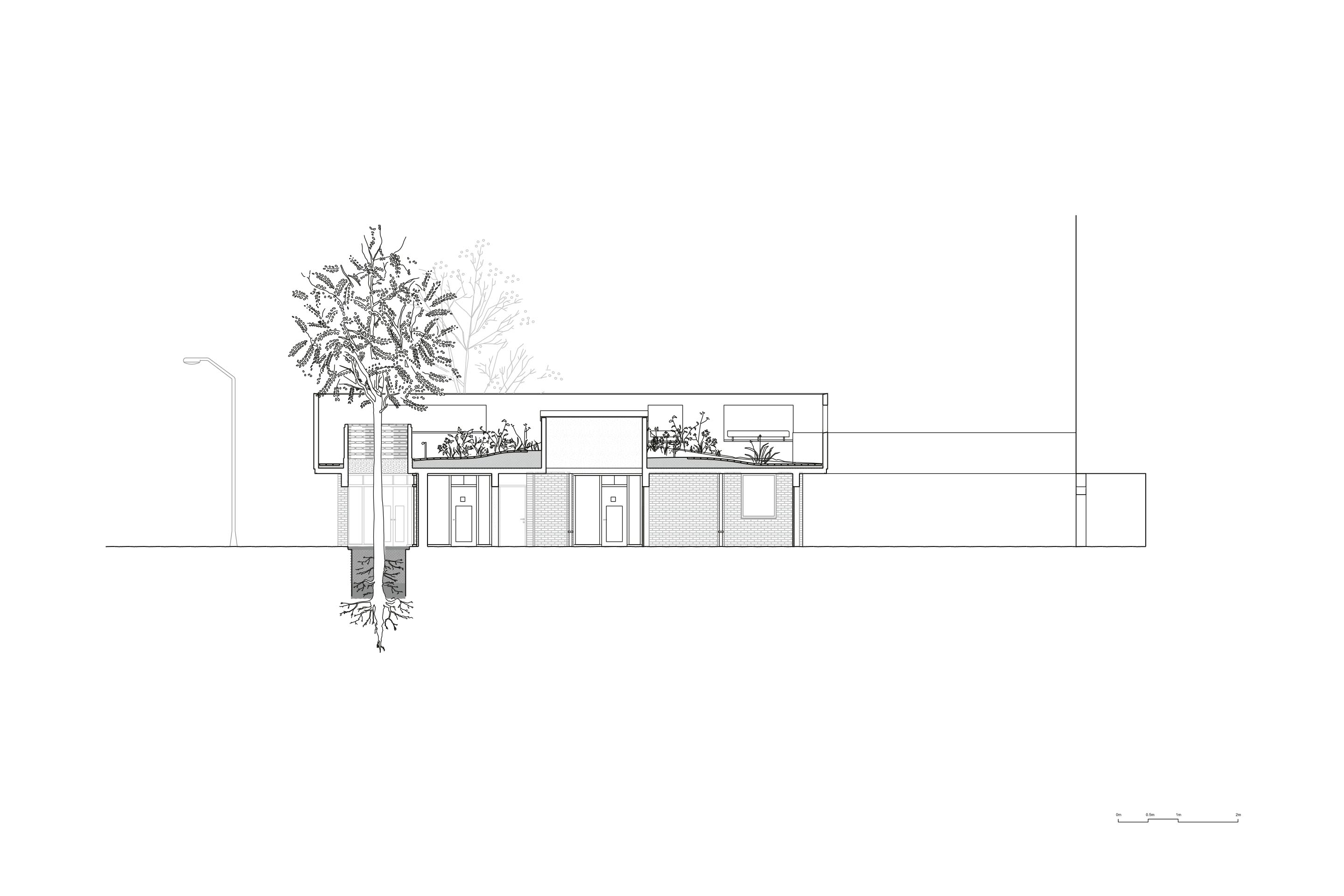 Sanchez Benton architects, Peveril gardens and Studios, Londra, 2021. Sezione.
