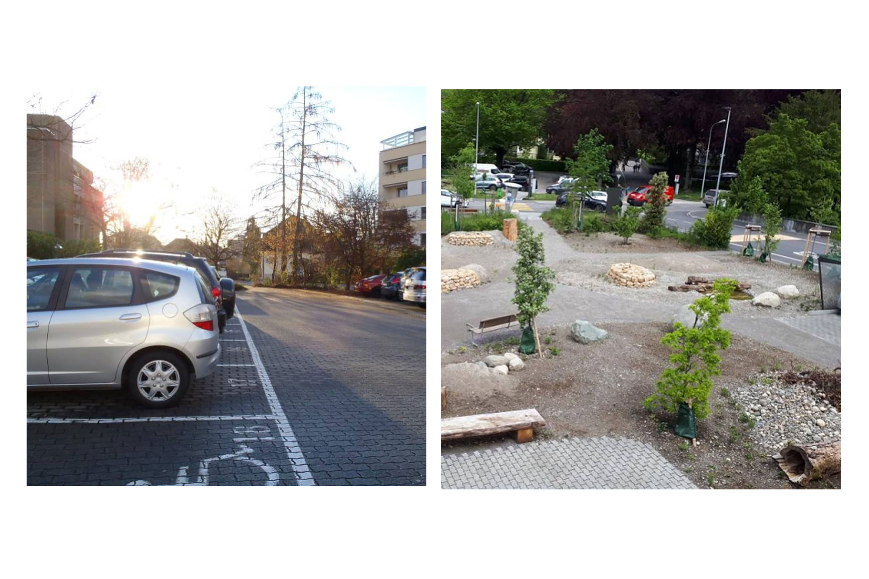 Links: «Naturgarten Schönegg», Brugg, früherer Zustand: Rechts: Nach der Umgestaltung