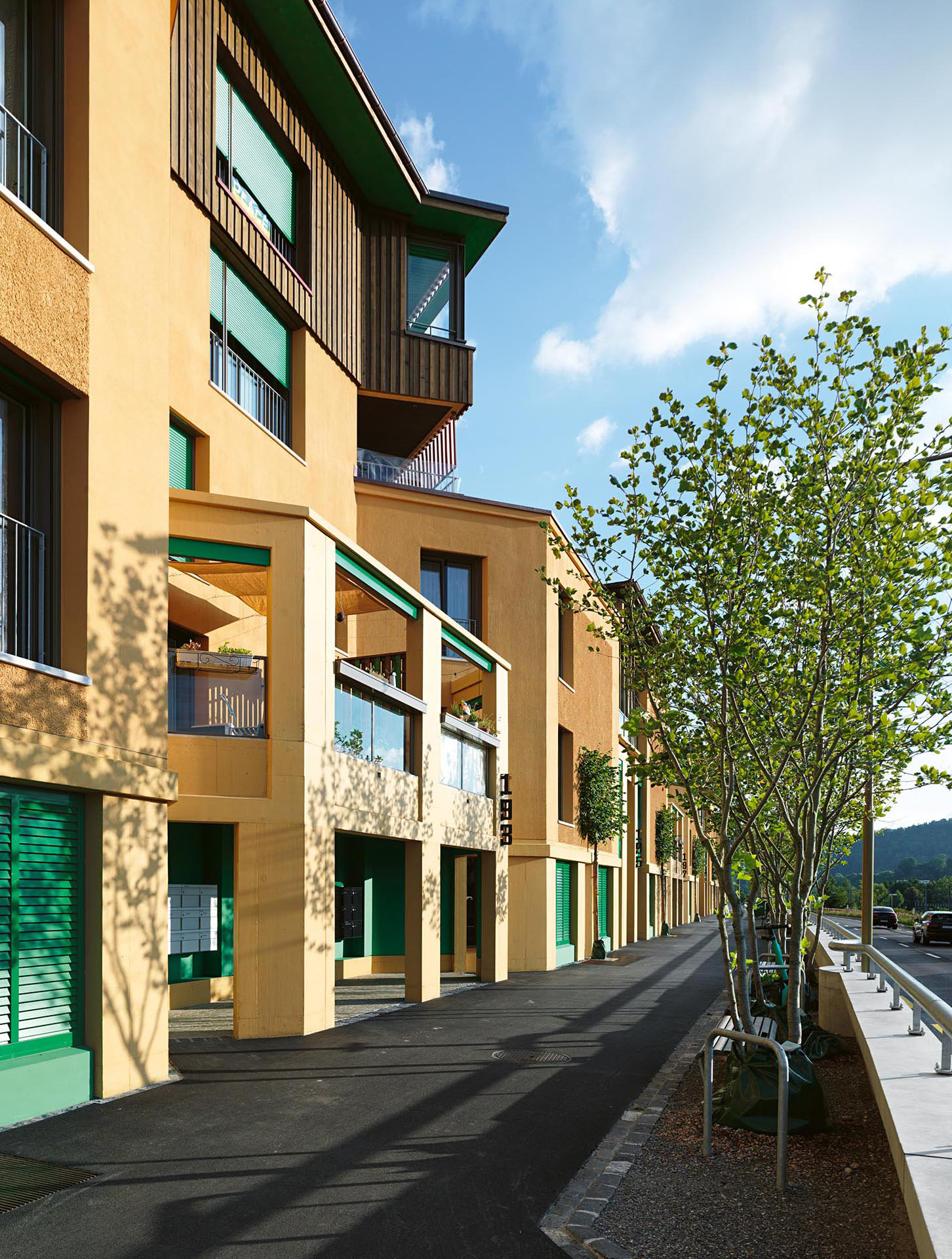 Lärmschutzwall mit Aufenthaltsqualität: Ein erhöhter Promenadenweg  schirmt die Siedlung gegen die parallel unterhalb verlaufende, verkehrsreiche Vogelsangstrasse ab.