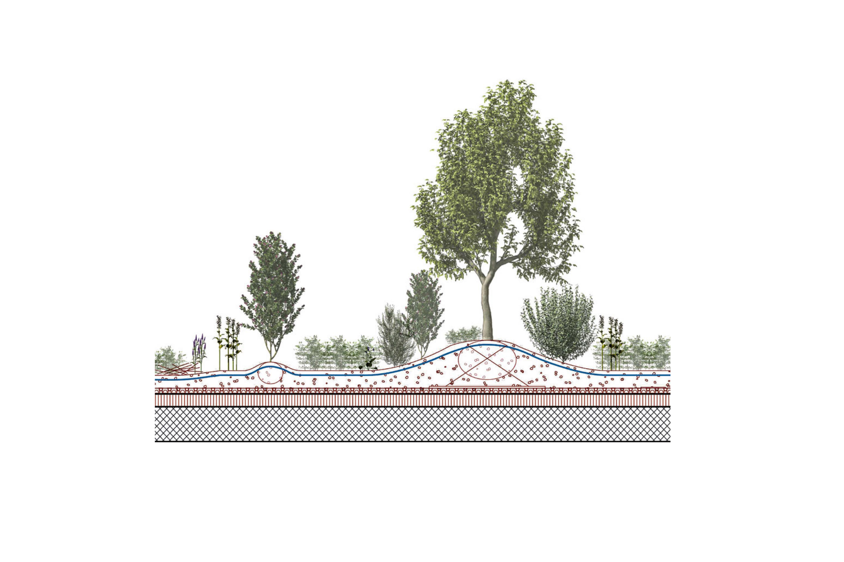 Die Dicke des Bodensubstrats richtet sich nach den Möglichkeiten der Statik und bestimmt die Art der Begrünung.