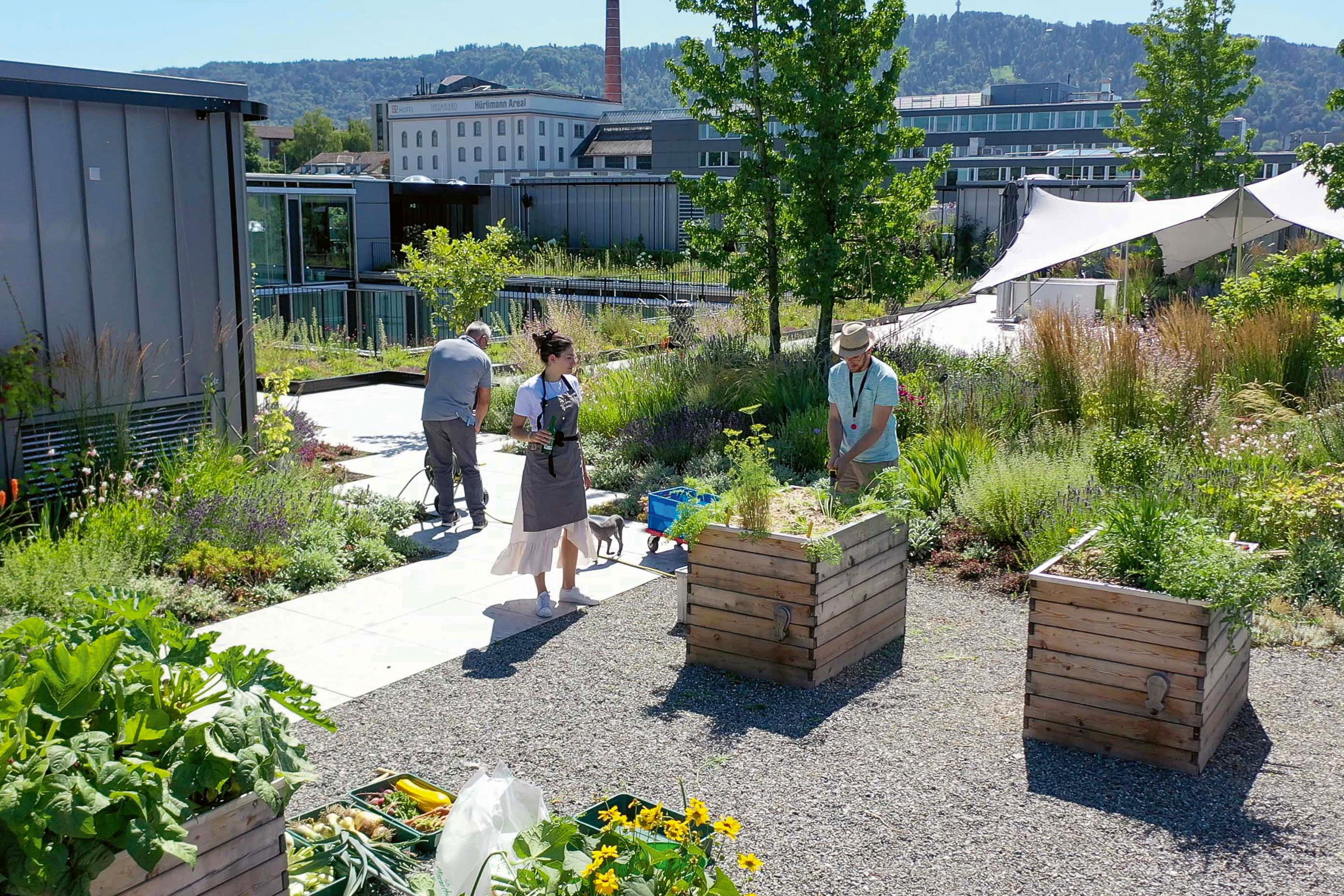 Verschiedene Zonen bieten vielfältige Angebote  und ­Umgebungen für Pflanzen, Tiere und Menschen.