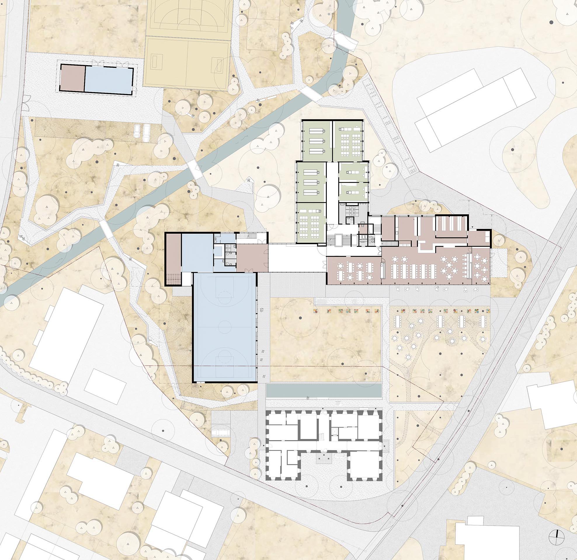 Grosser schattiger Garten, prima Fische