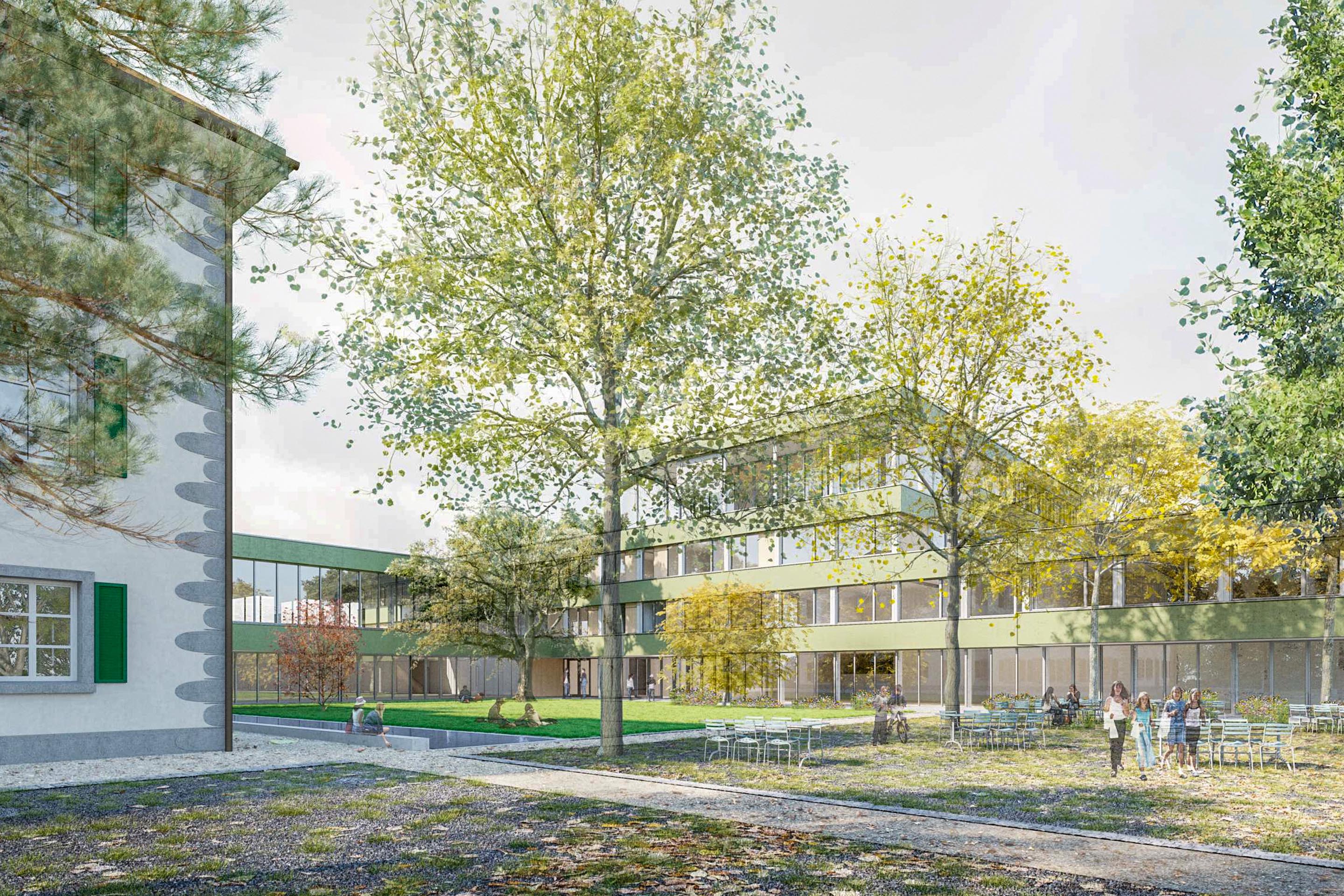 Grosser schattiger Garten, prima Fische