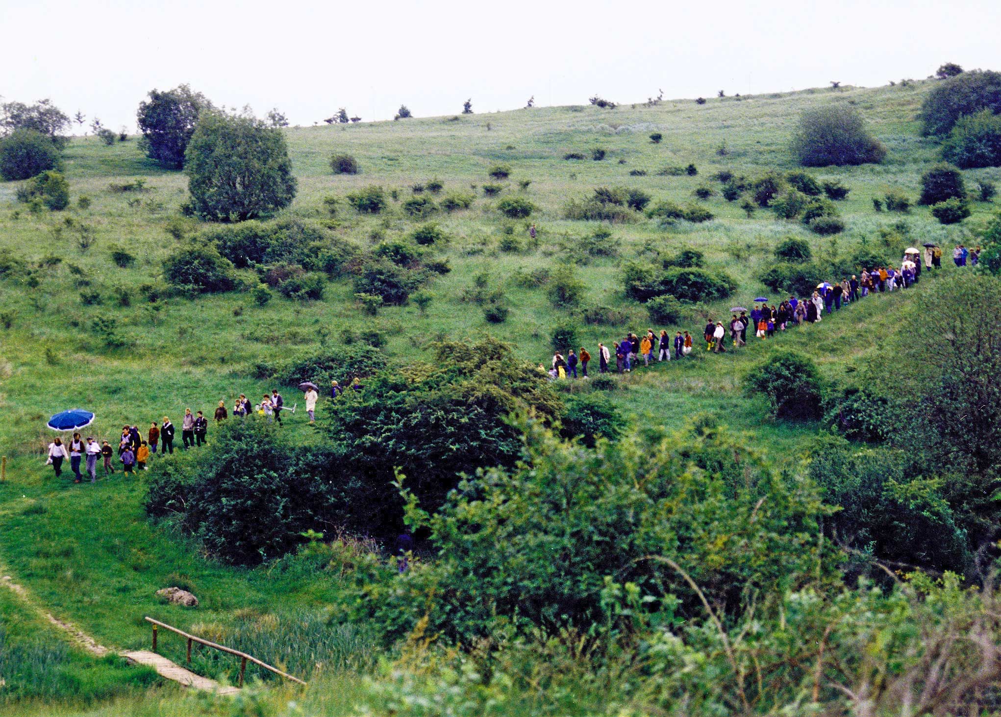 radical-pedagogies-mit-press-3