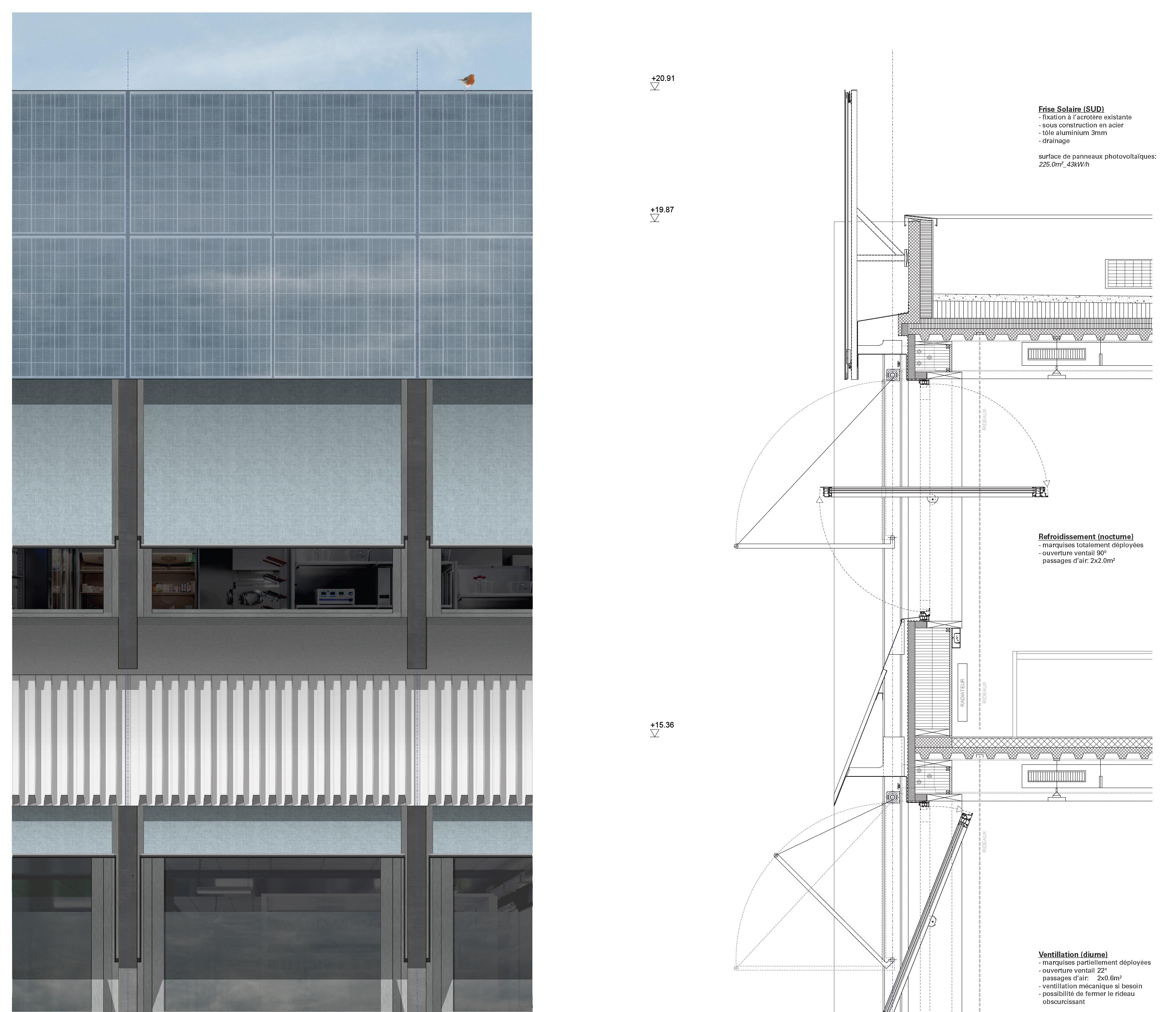 Coupe et élévation constructive de la façade principale à l’échelle 1:20 (document original)