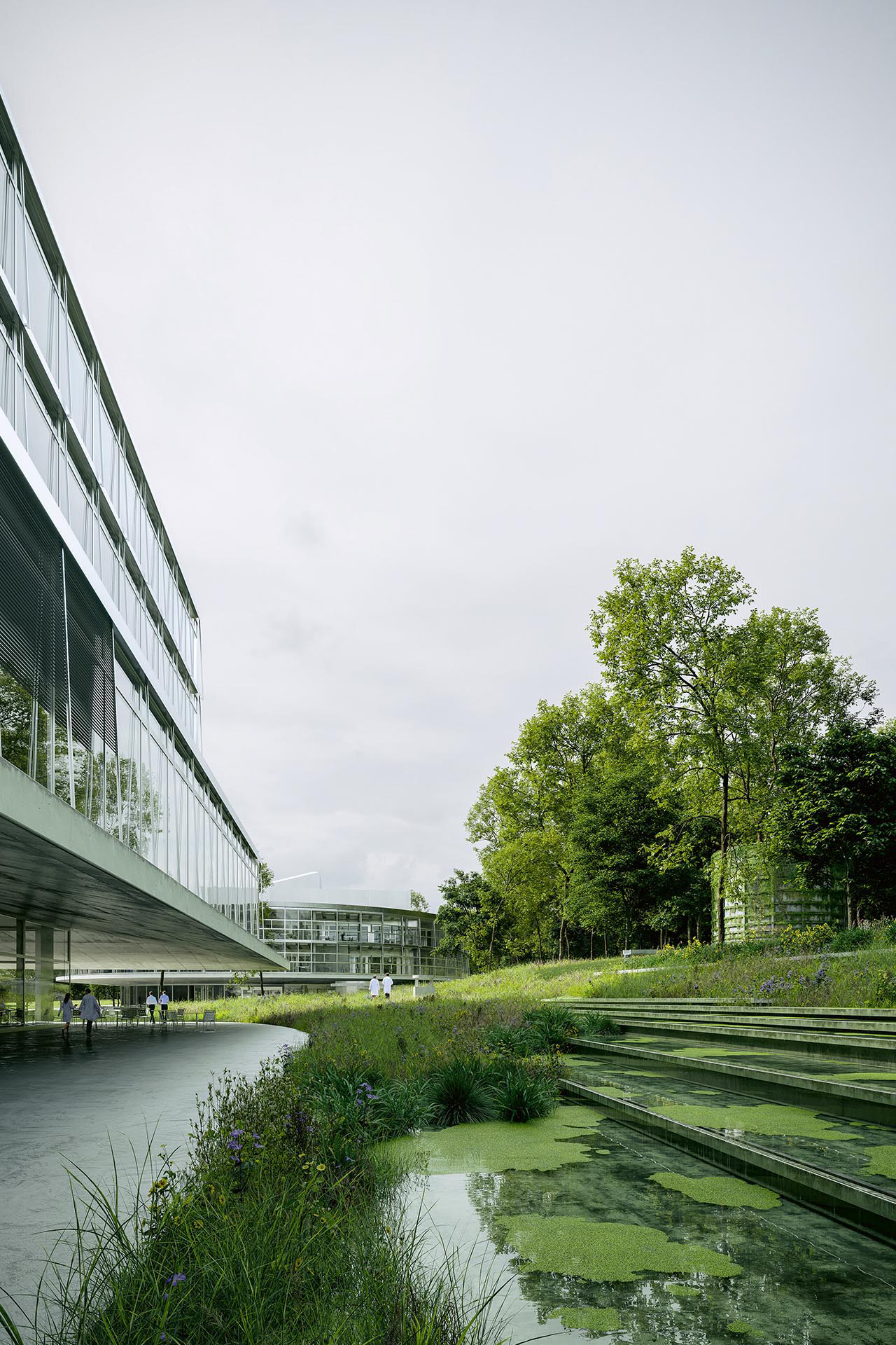 Rendering des futurs bâtiments HESAV et C4 du Campus Santé à Lausanne, caractérisés par leurs rez-de-chaussée ouverts, transparents et généreux sur le parc-jardin, mis au premier plan dans la communication du projet.