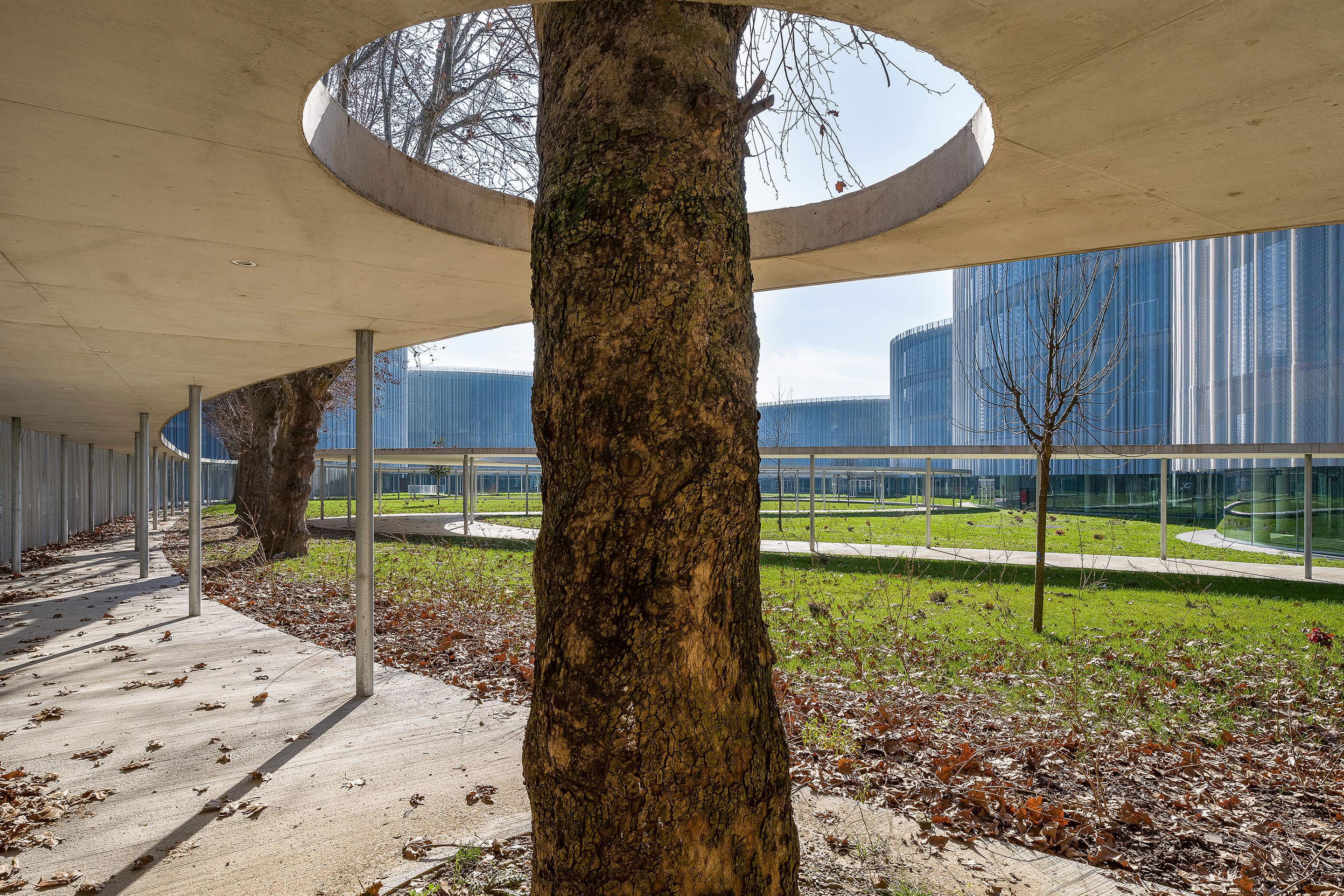 Les six bâtiments du nouveau campus de l’Université Bocconi à Milan composent un ensemble disposé comme une «constellation de cellules suspendues» sur le gazon, dans une continuité spatiale et visuelle entre intérieur et extérieur.