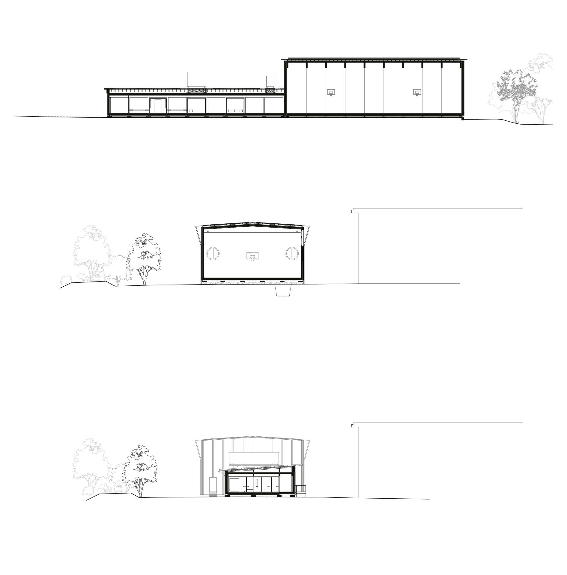 Sezione longitudinale, sezione trasversale.