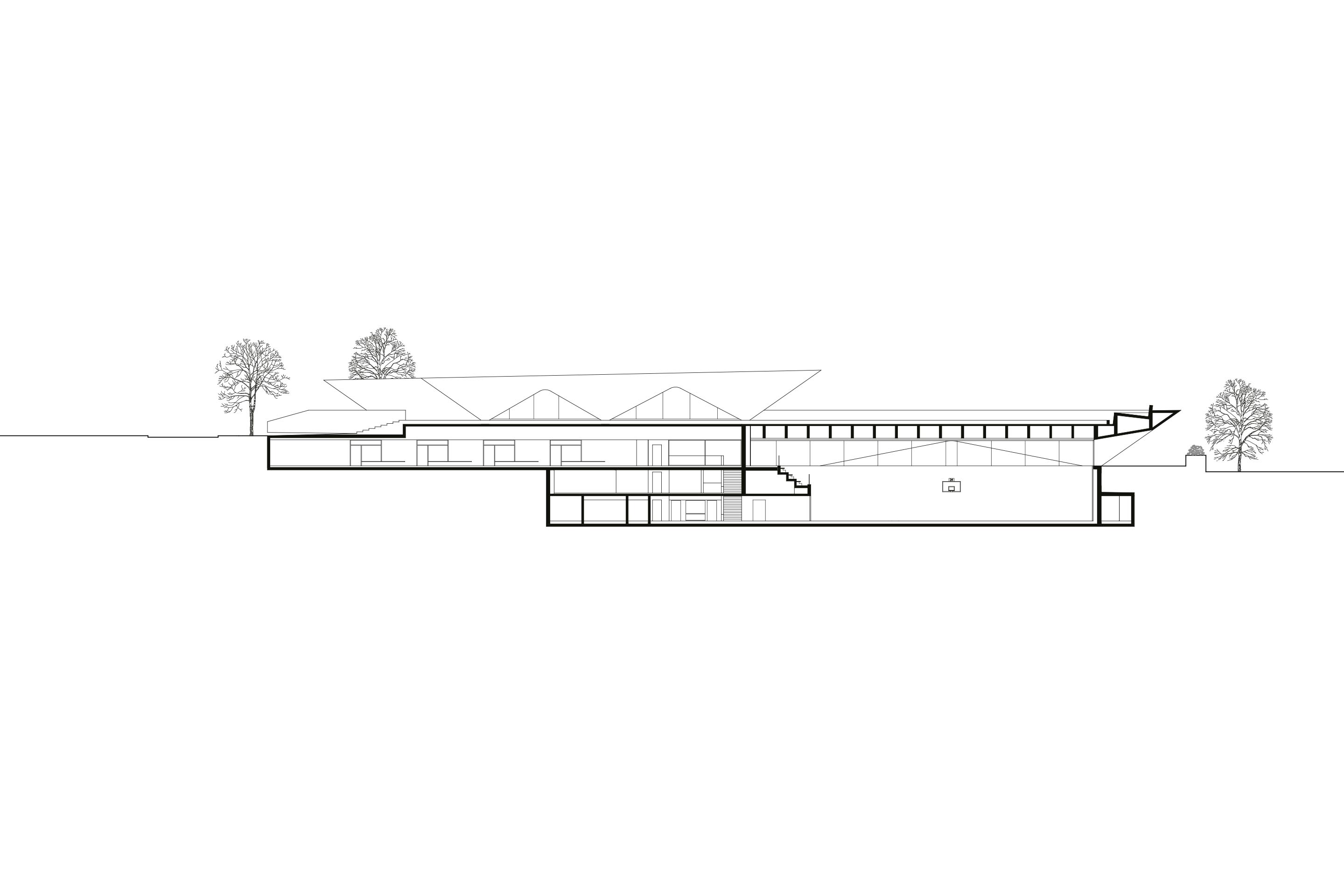 Comunità di lavoro Durisch+Nolli e Giraudi Radczuweit, Centro Scolastico Nosedo, sezione sulla palestra, Massagno, 2017.