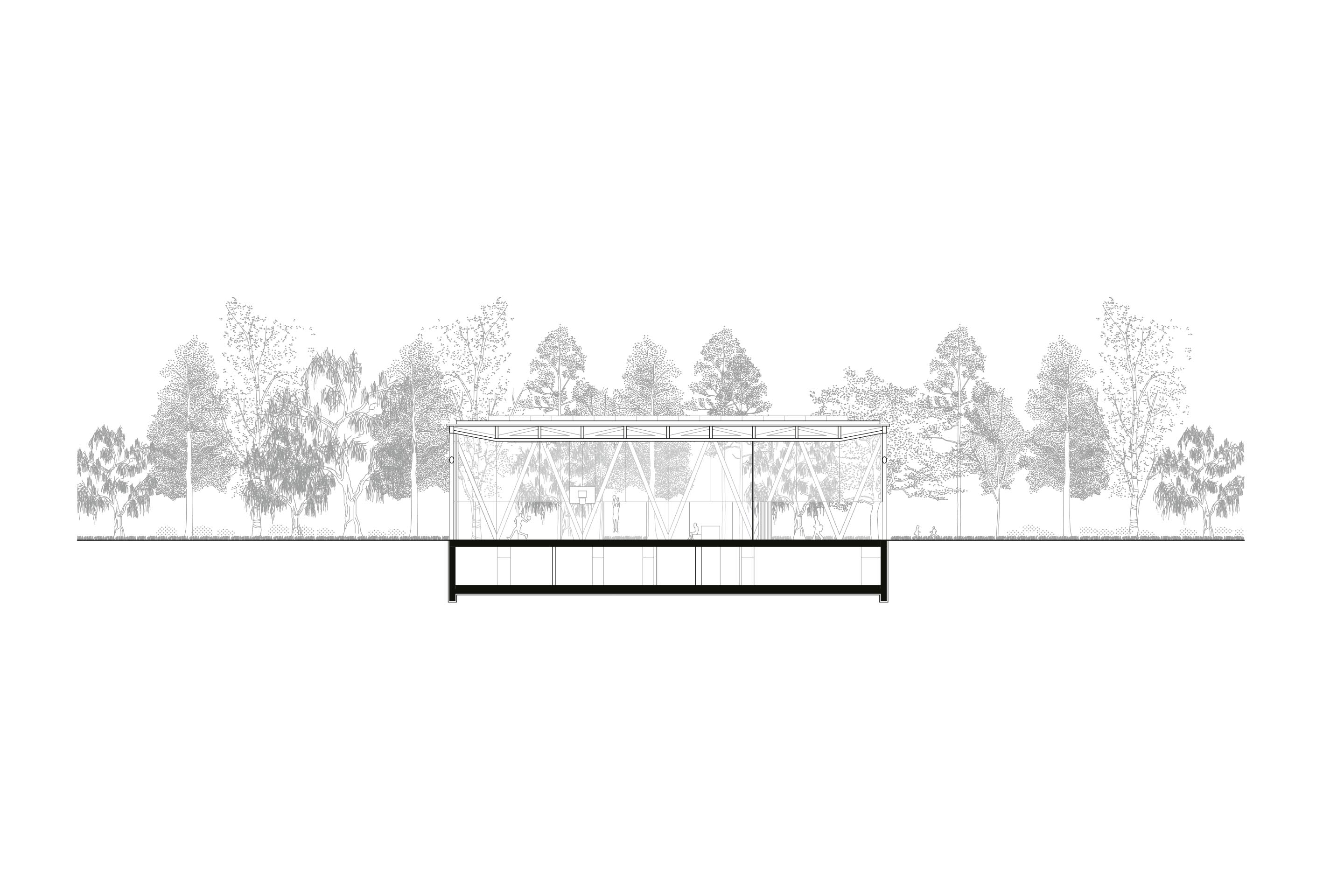 Demattè Fontana Architekten, Palestra polivalente, sezione, Verscio, concorso 2018, in costruzione.