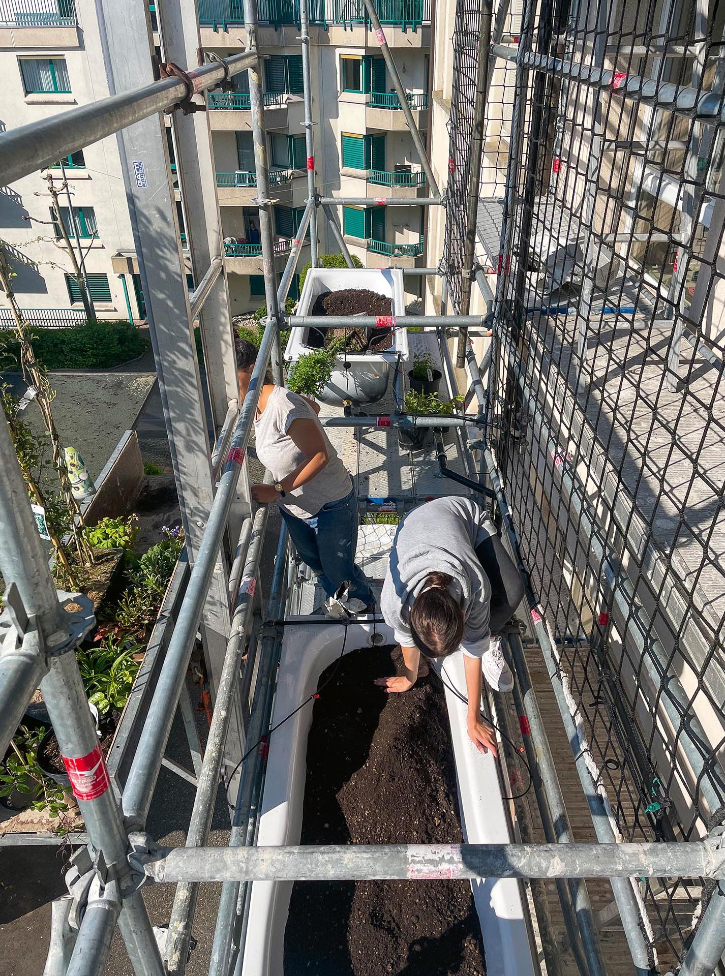 La plantation a été planifiée en étroite collaboration avec une conseillère en végétaux et un fabricant de substrats.