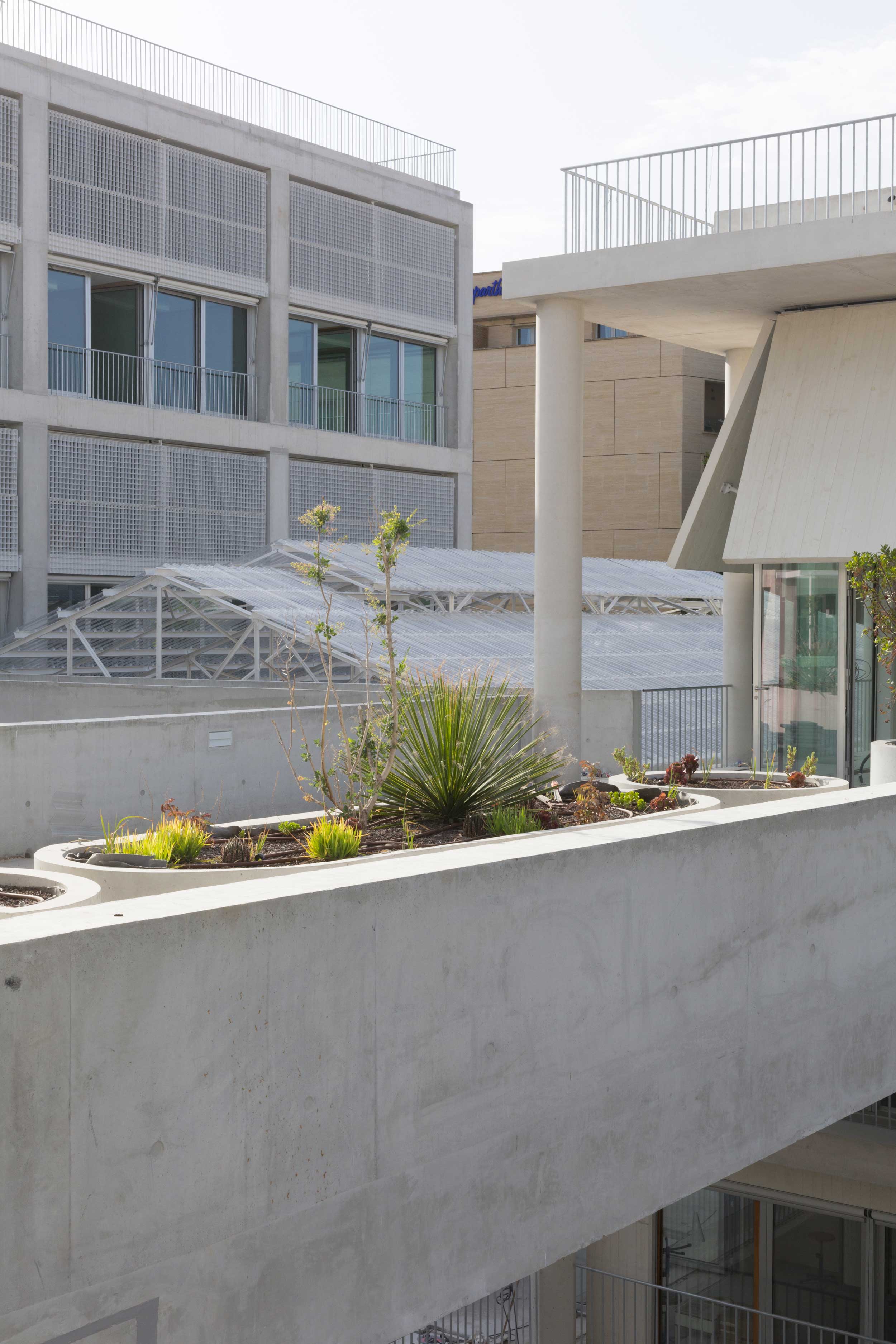 Les terrasses plantées de l'école en cours de réalisation.