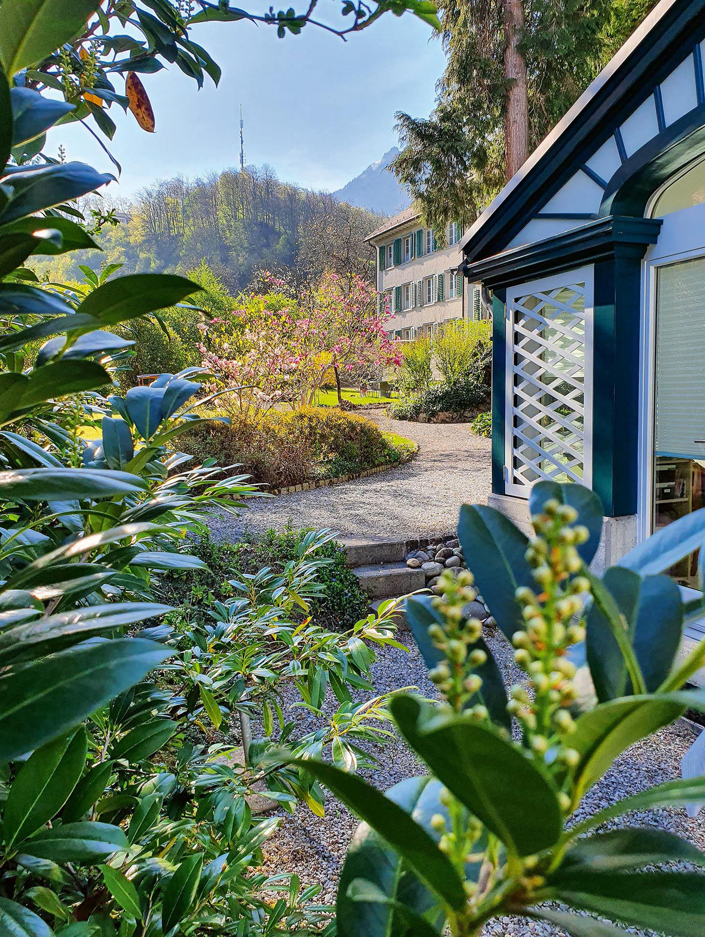 Vom Englischen Garten zum biodiversen Naturraum:  Der Park Freienstein weist eine grosse Artenvielfalt auf.