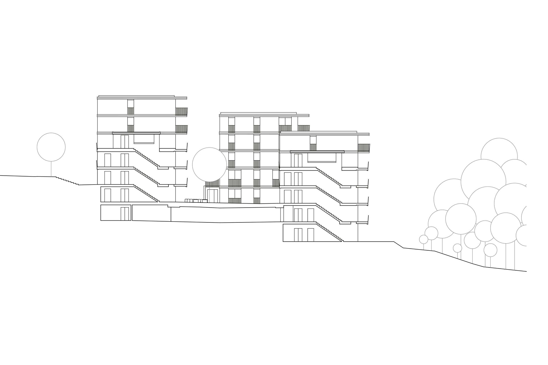 Sezione trasversale.