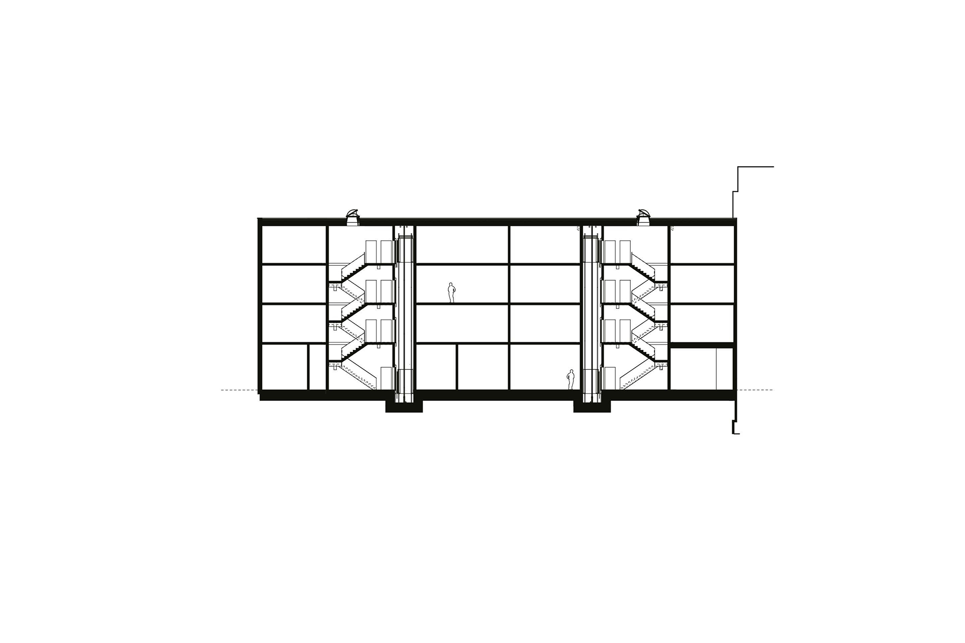 Sezione longitudinale.