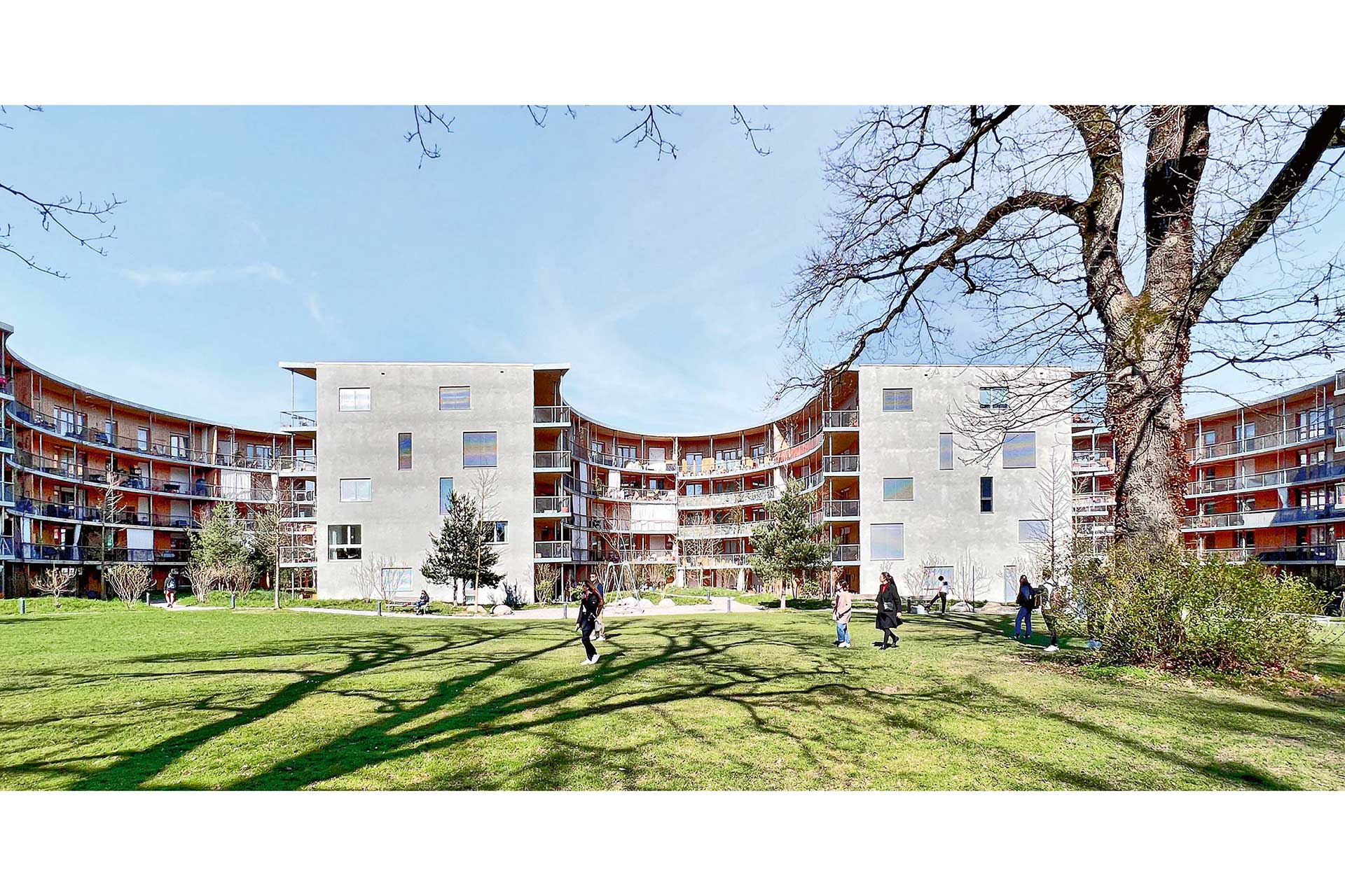 Schneider Studer Primas, Holunderhof, Zurigo (2012-2018).