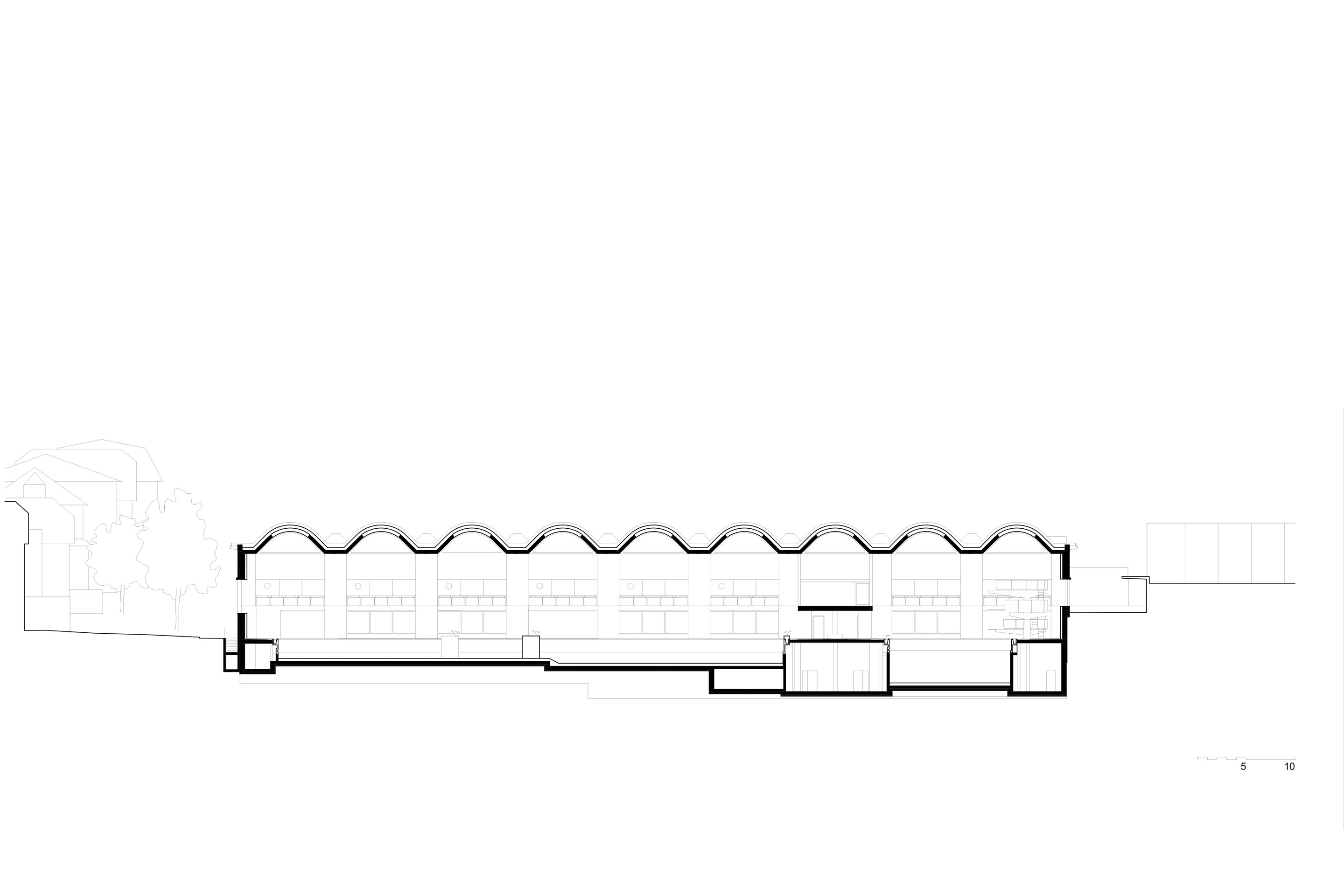 schwimmhalle-neufeld-bern-laengsschnitt