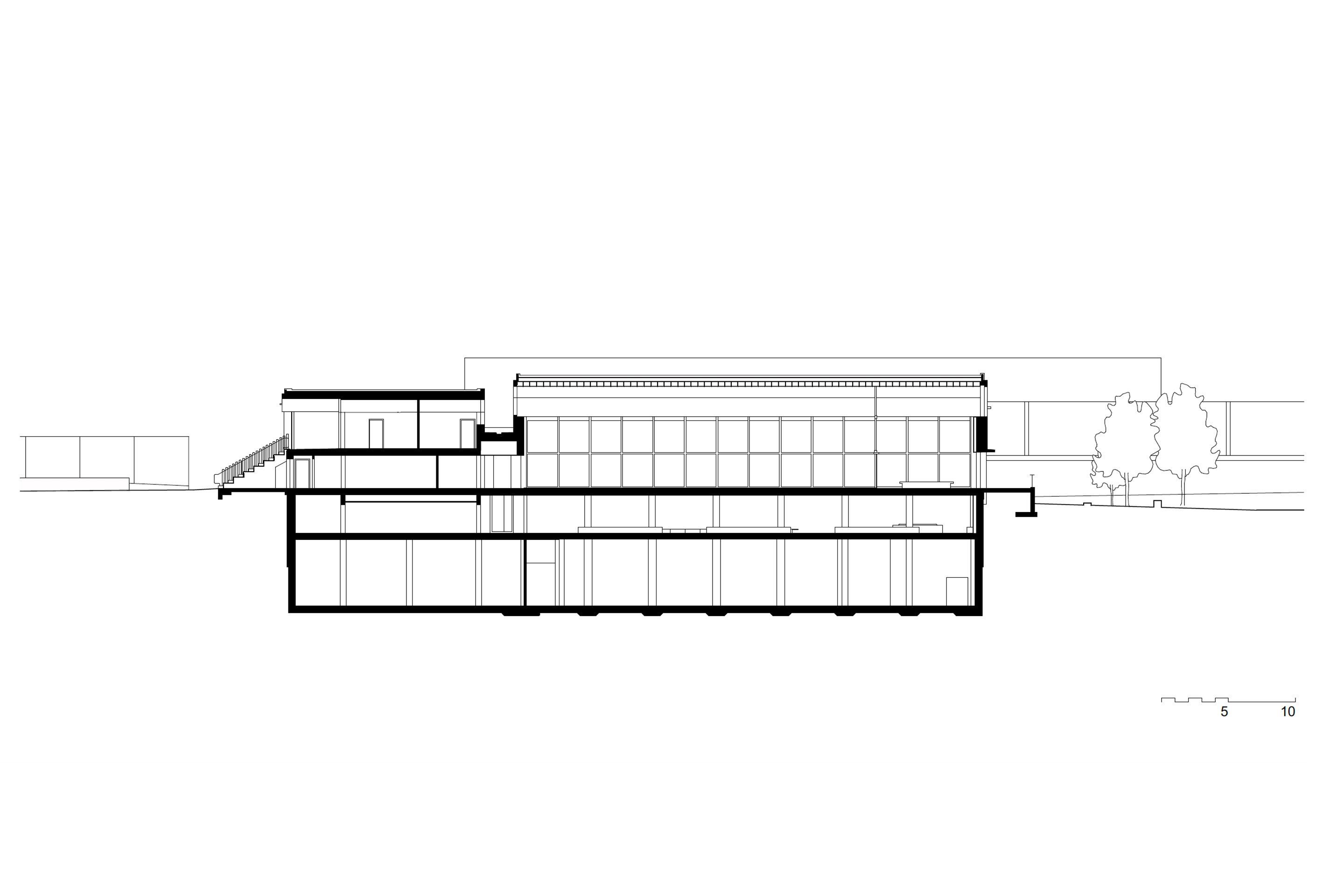 schwimmhalle-neufeld-bern-querschnitt