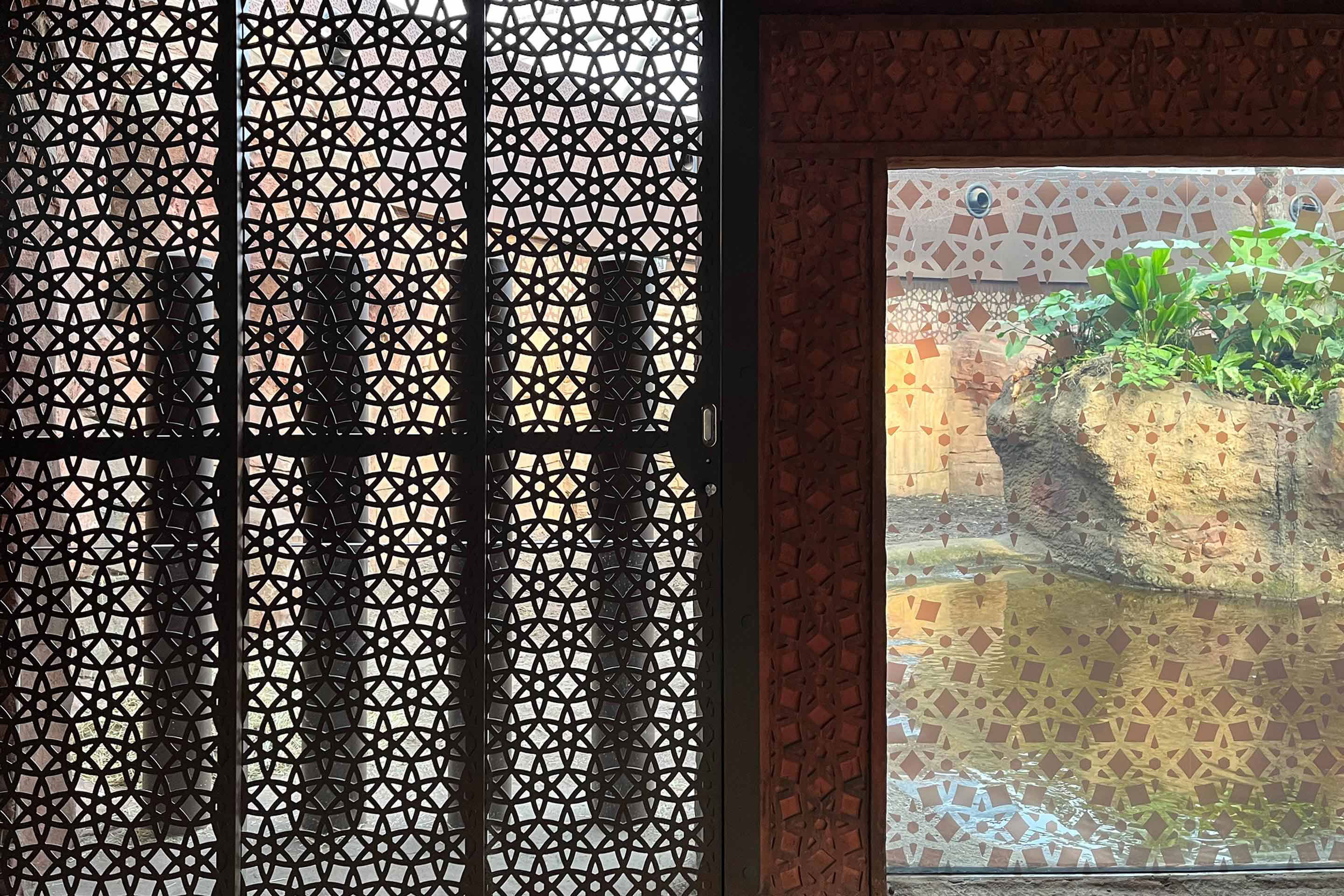 Für den direkten Kontakt mit den Tieren lässt sich ein Tor aufschieben.