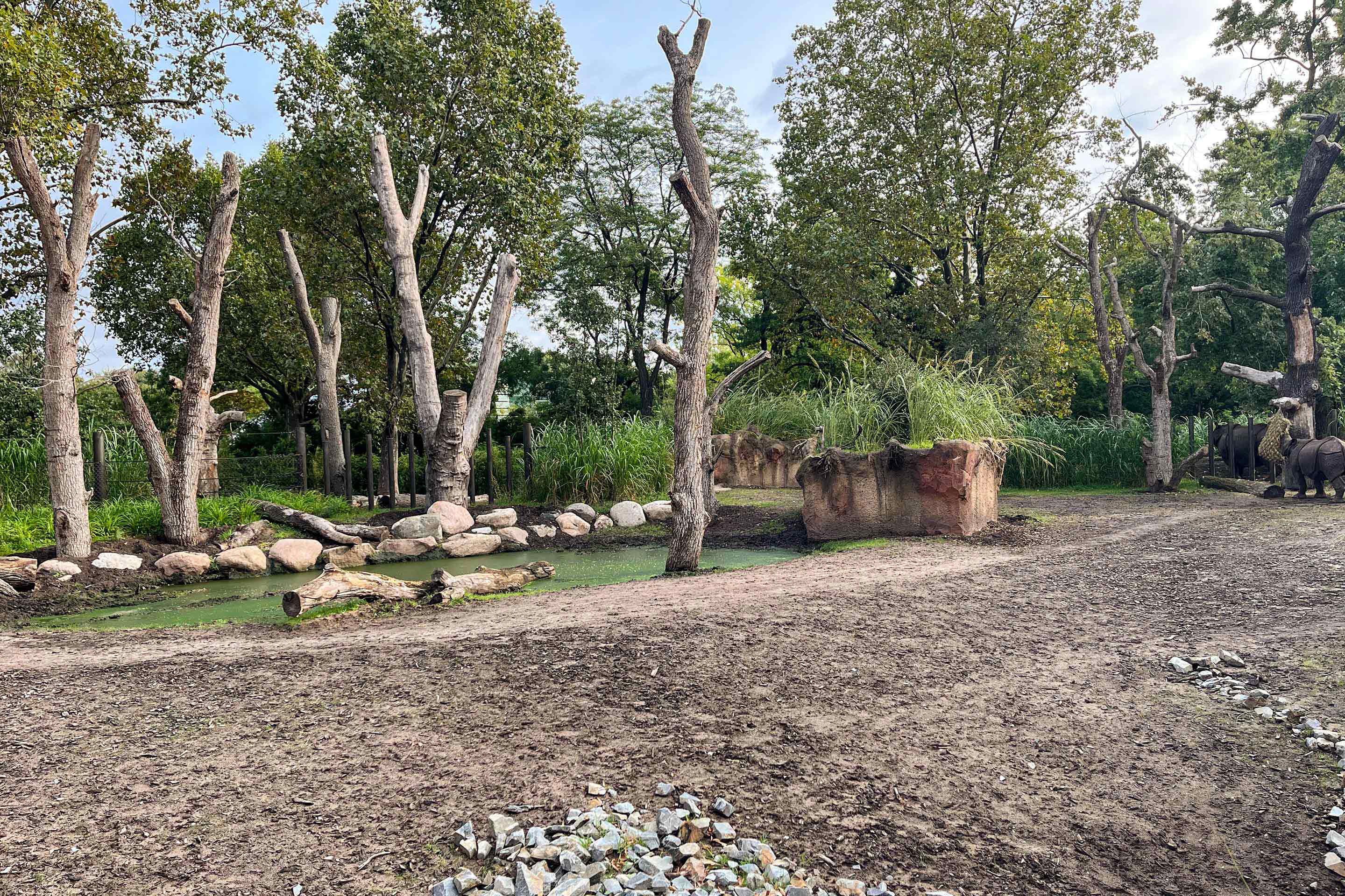 Der Boden im Aussenbereich ist den Bedürfnissen der Tiere entsprechend sehr weich.