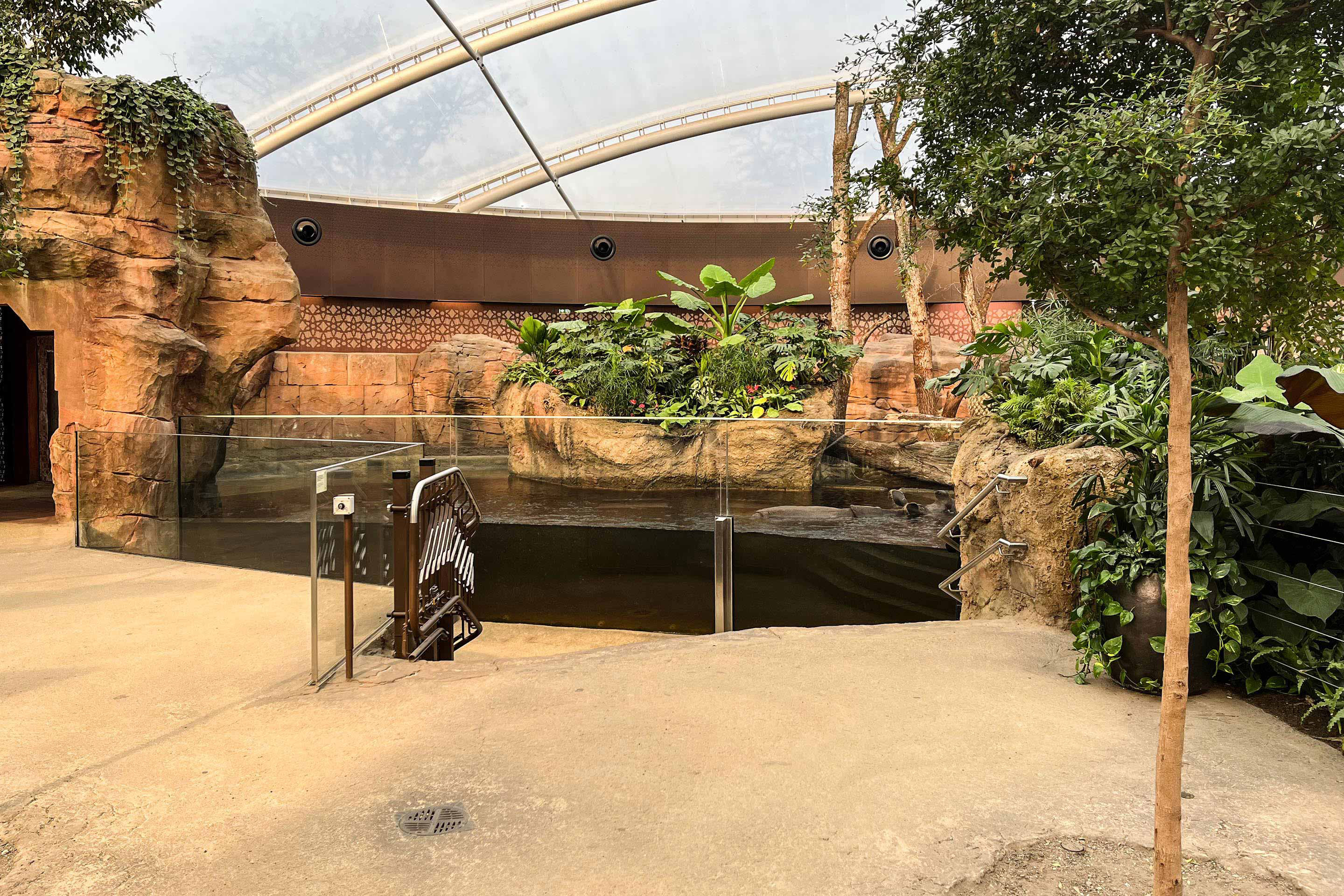 Ein abgesenkter Bereich erlaubt den Besuchenden die unmittelbare Nähe zum Wasserbecken der Panzernashörner.