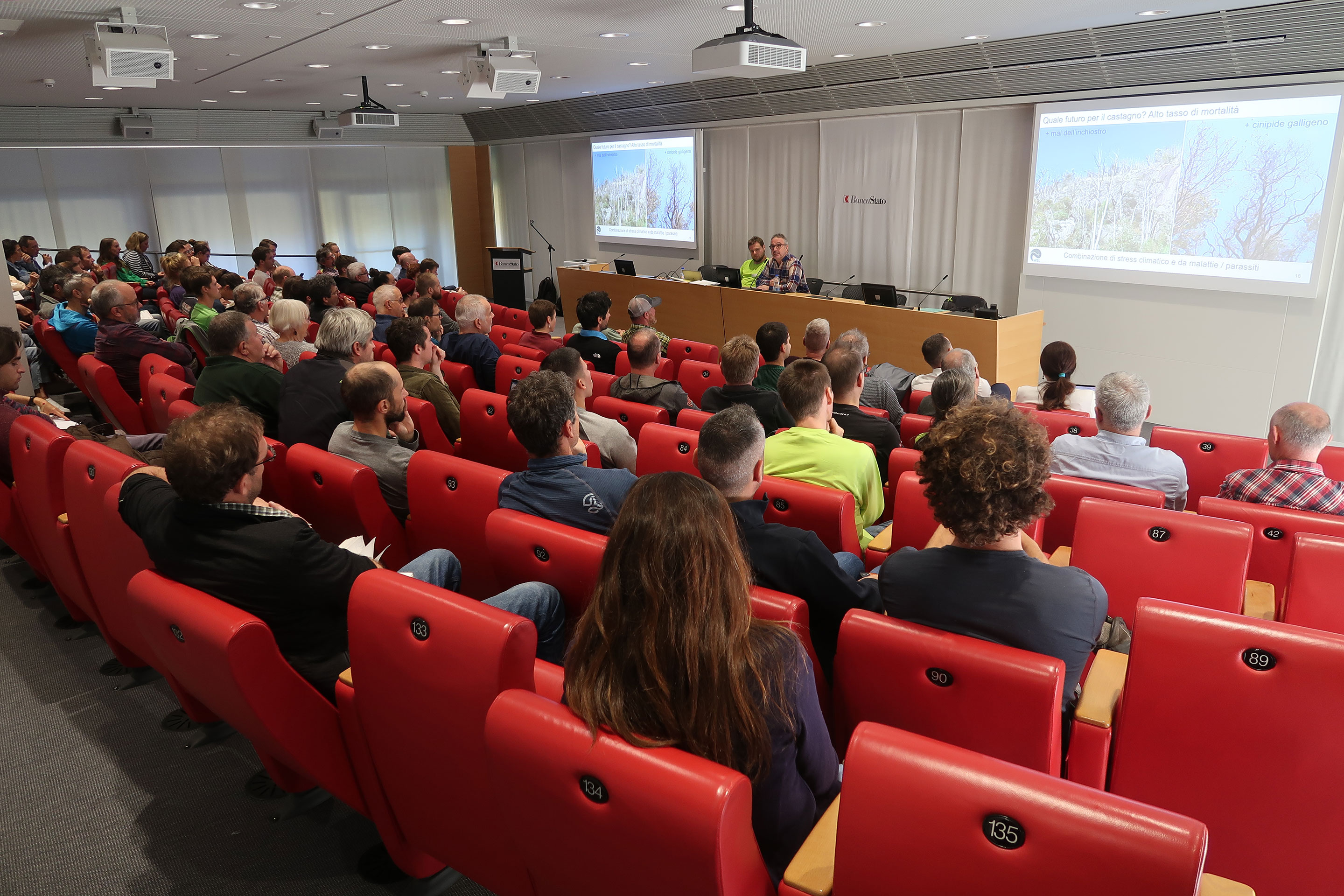 Rund 100 Fachpersonen und Interessierte nahmen an der Tagung «Die forstlichen Herausforderungen von morgen – auf der Alpensüdseite bereits Realität!» in Bellinzona teil.