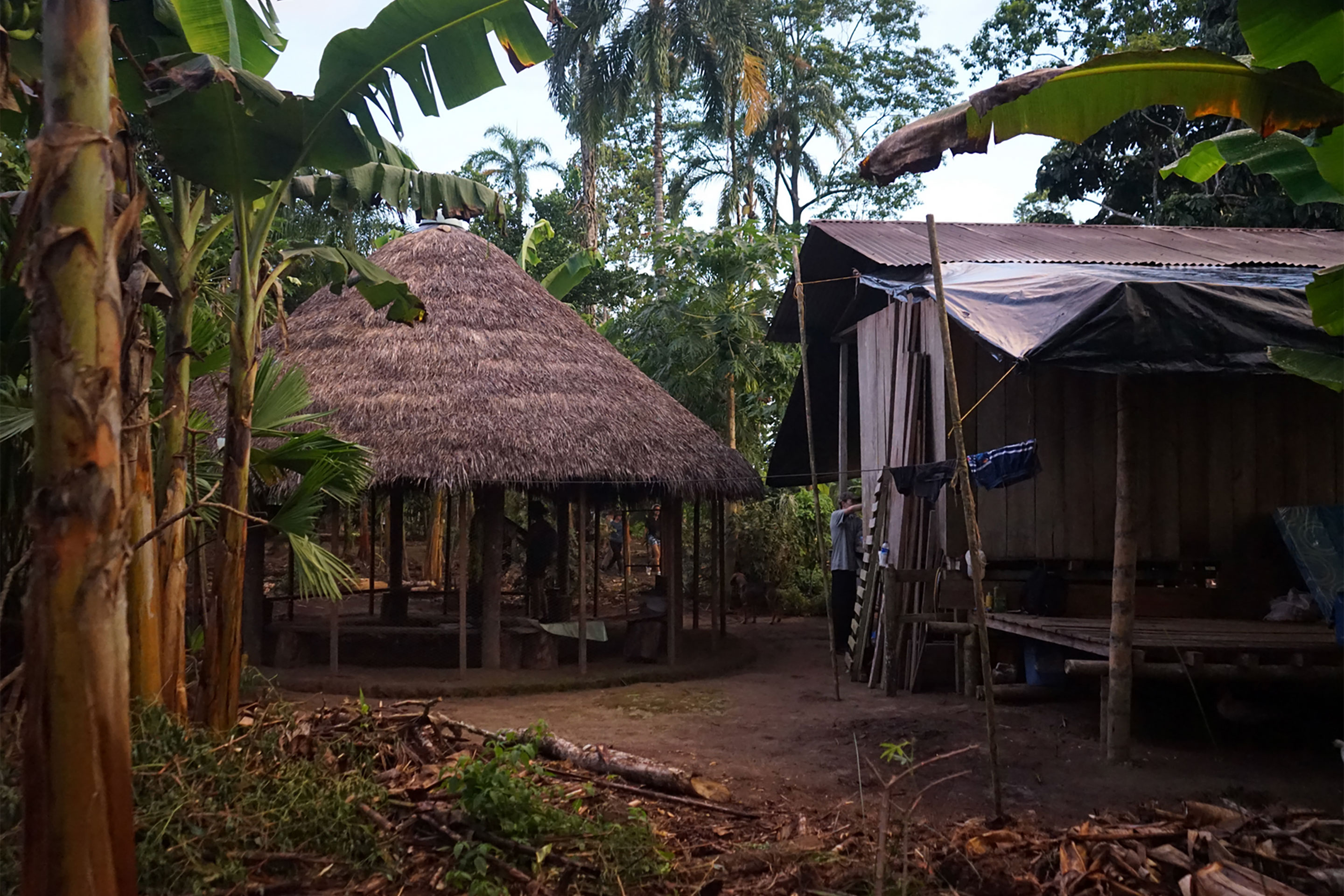 Die Masterarbeit entstand auf Einladung der Inga, eines indigenen Volks, das im Süden von Kolumbien lebt. Aktuell ist es dabei, eine Hochschule aufzubauen, die das traditionellen Wissen weitergibt, kombiniert mit westlichen Wissenschaften. Die Schweizer Studierenden erhielten die Gelegenheit, diesen Prozess zu begleiten. Dabei wanderten sie mehrere Wochen entlang der historischen, präkolonialen Inga-Pfade durch den Regenwald. Die Projektverfasser dokumentierten ihre Reise in Zeichnungen, Fotos und Erzählung