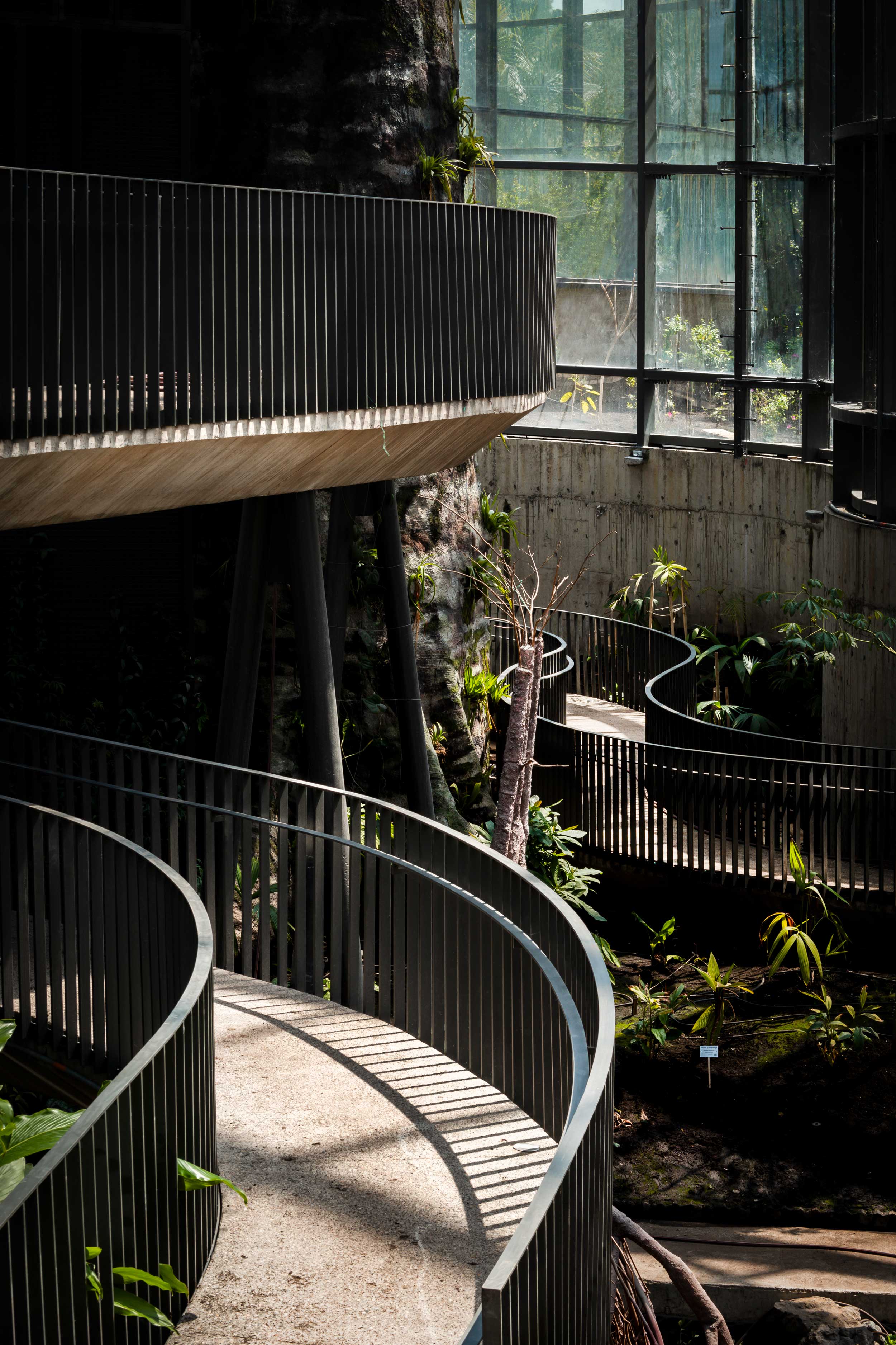 TROPICARIO JARDÍN BOTANICO DE BOGOTÁ