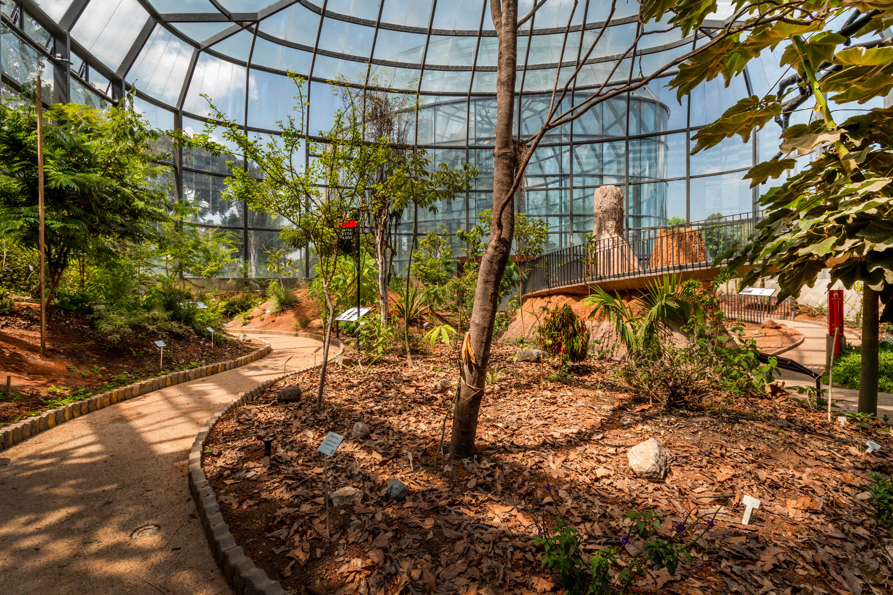 TROPICARIO JARDÍN BOTANICO DE BOGOTÁ