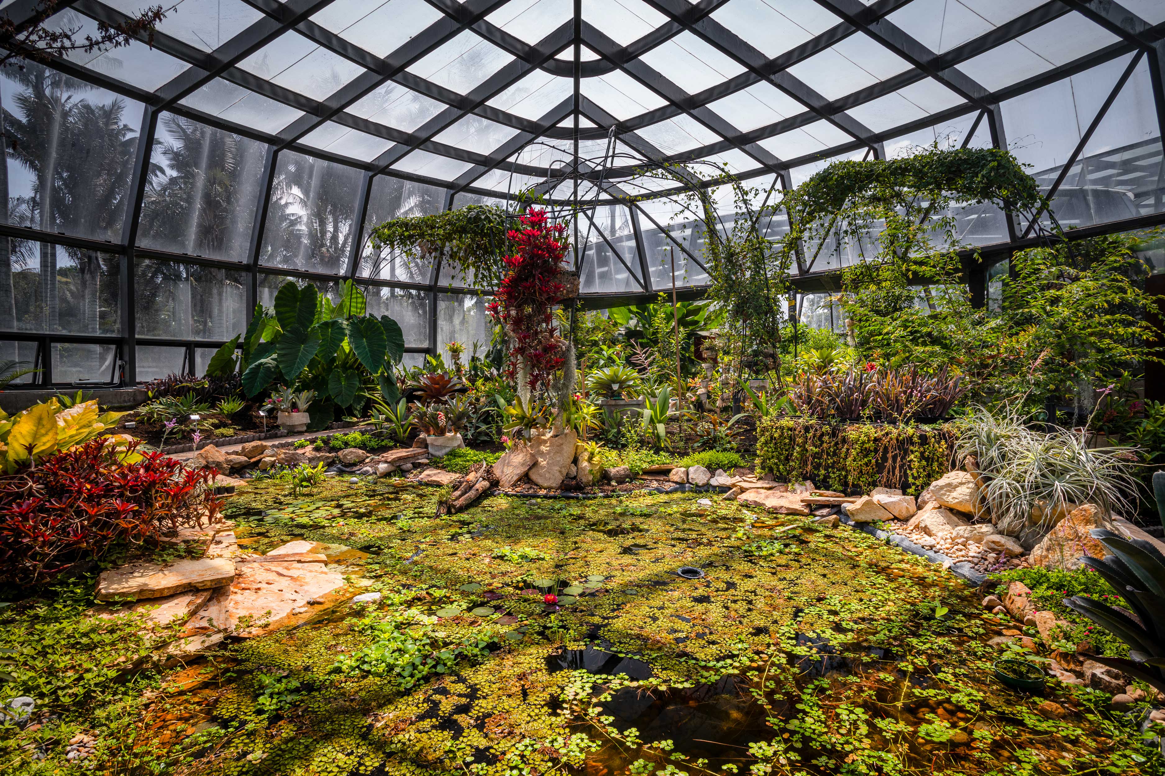 TROPICARIO JARDÍN BOTANICO DE BOGOTÁ