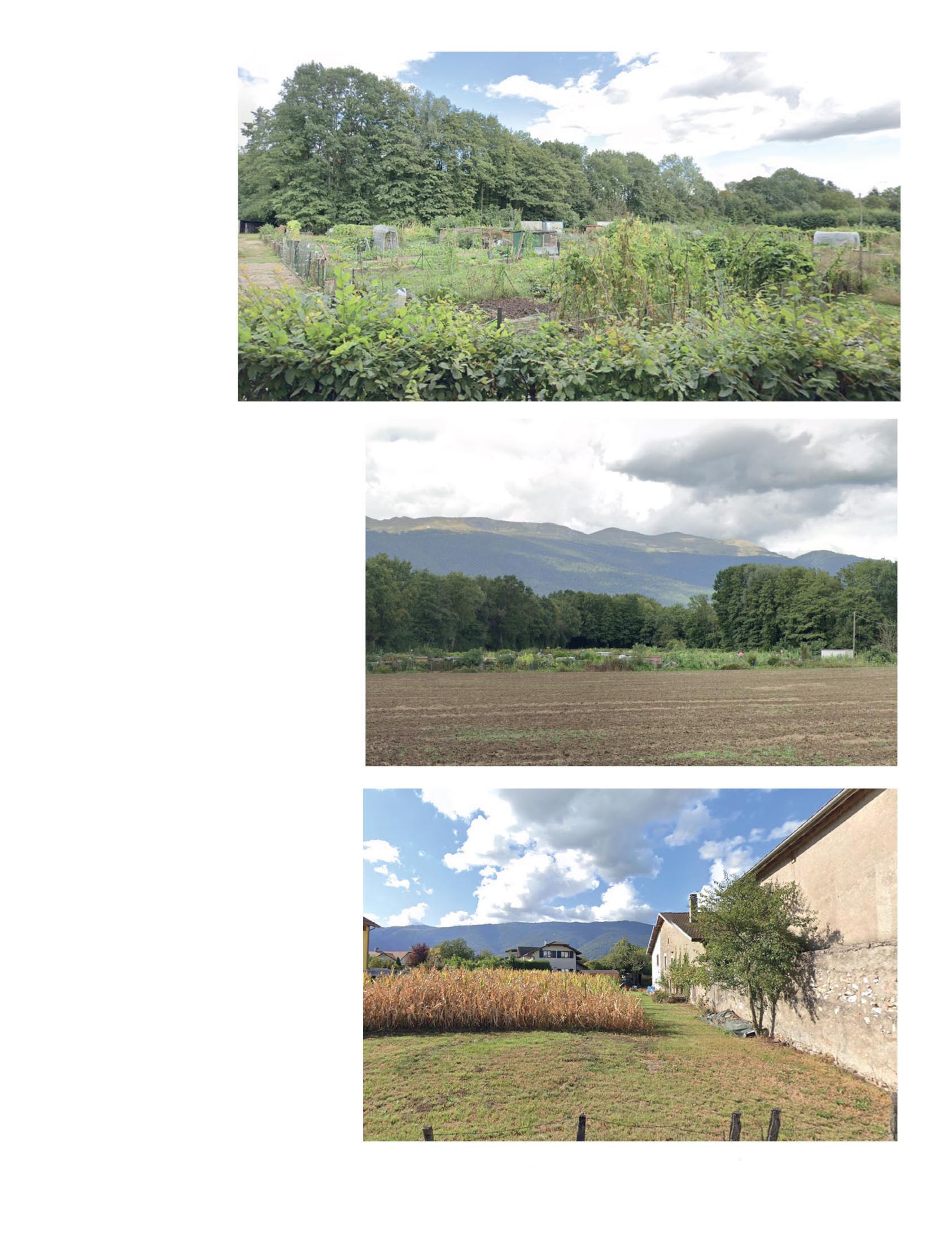En haut, les jardins de la Léchère, des potagers familiaux à l’interface entre les projets OPEN et Pouilly. Au centre et en bas des parcelles agricoles du secteur Pouilly vues depuis le chemin de la Léchère