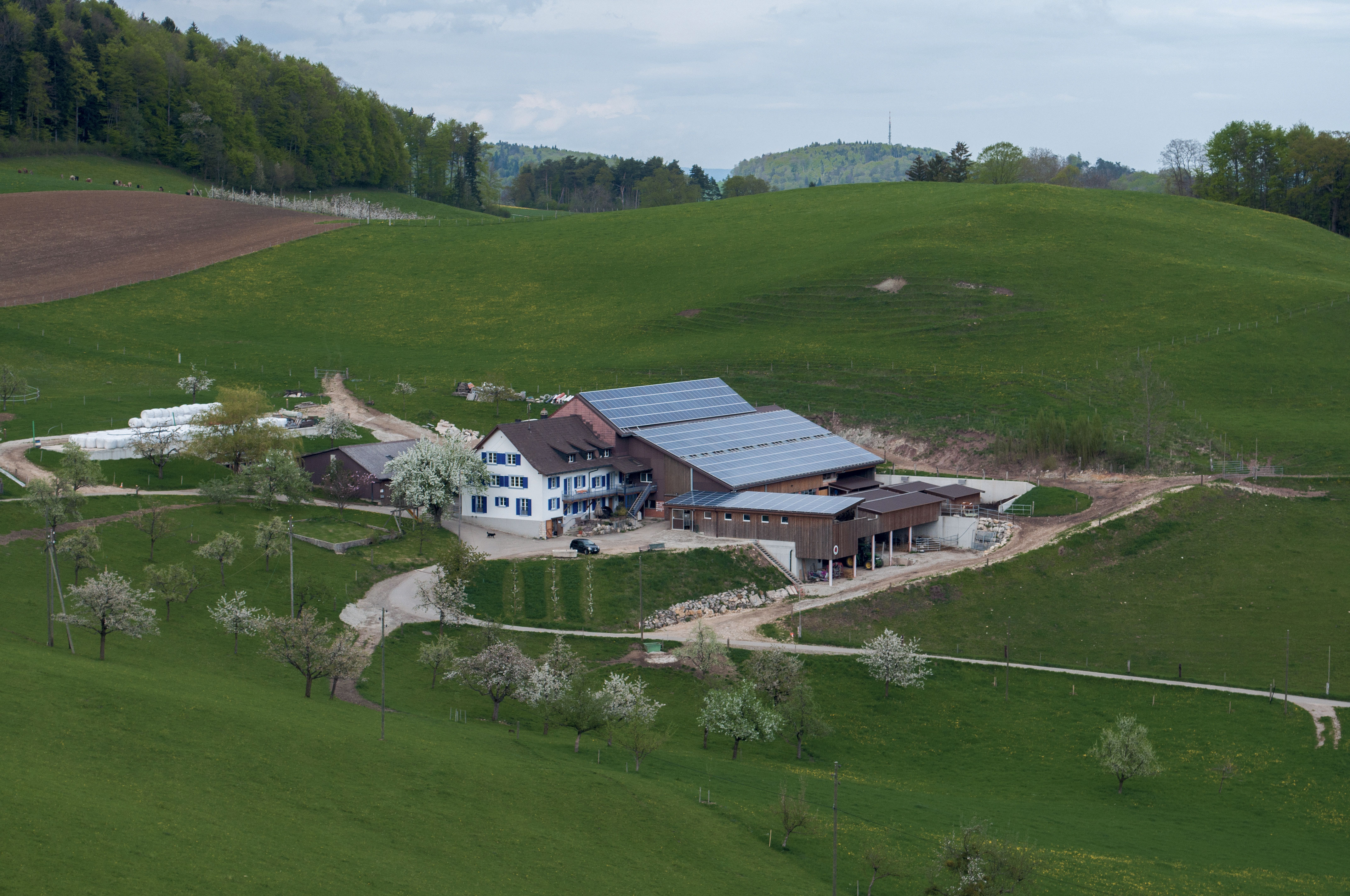 Bretzwil (BL), panneaux solaires en toiture (© EspaceSuisse)