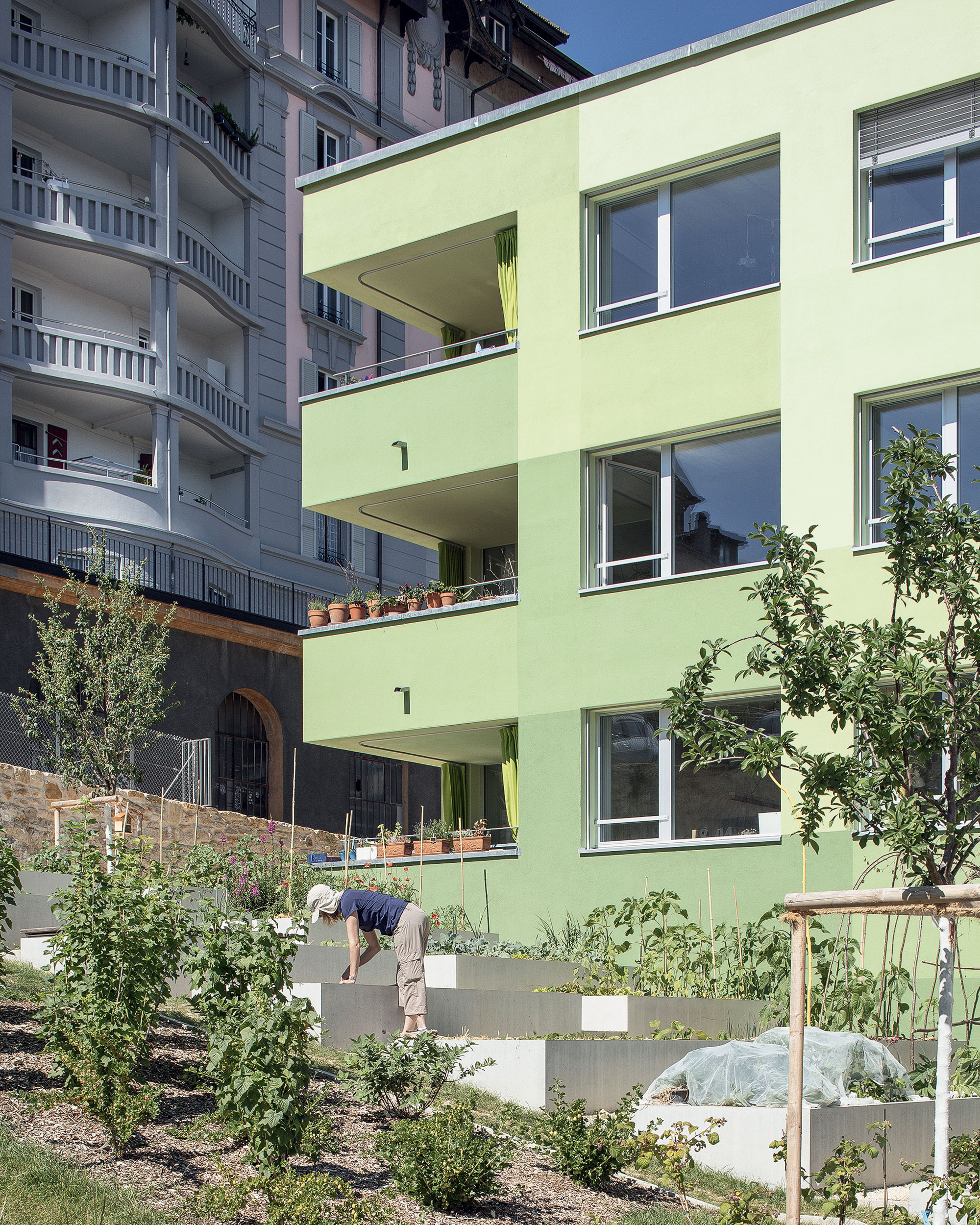 Potagers urbains dans les anciennes couches horticoles (© Yves André)