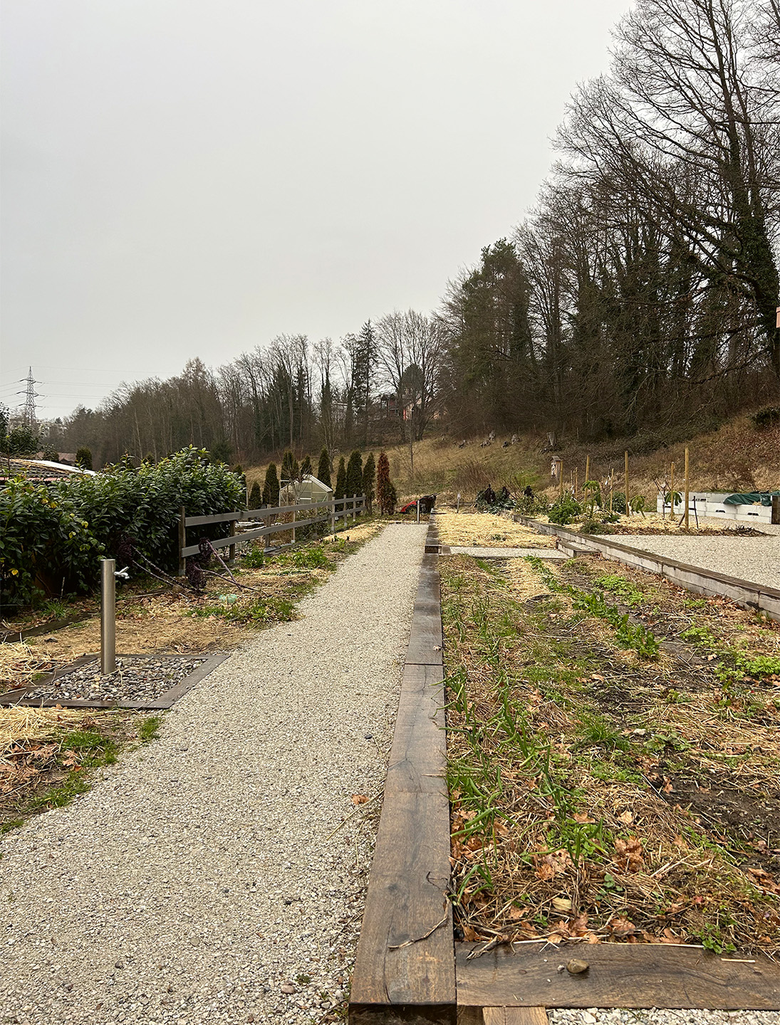 Plantages collectifs en permaculture