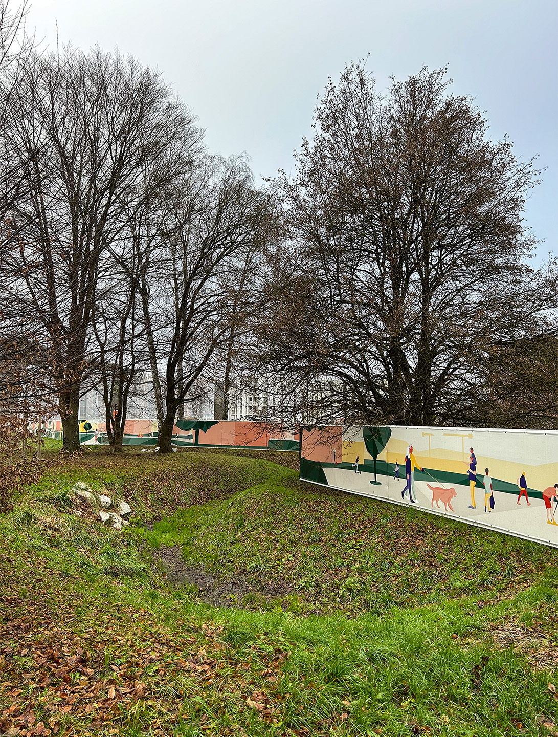 Milieu marécageux, l’un des cinq milieux de substitution accueillant le vivant que SEED exige de créer dans le périmètre de l’écoquartier.