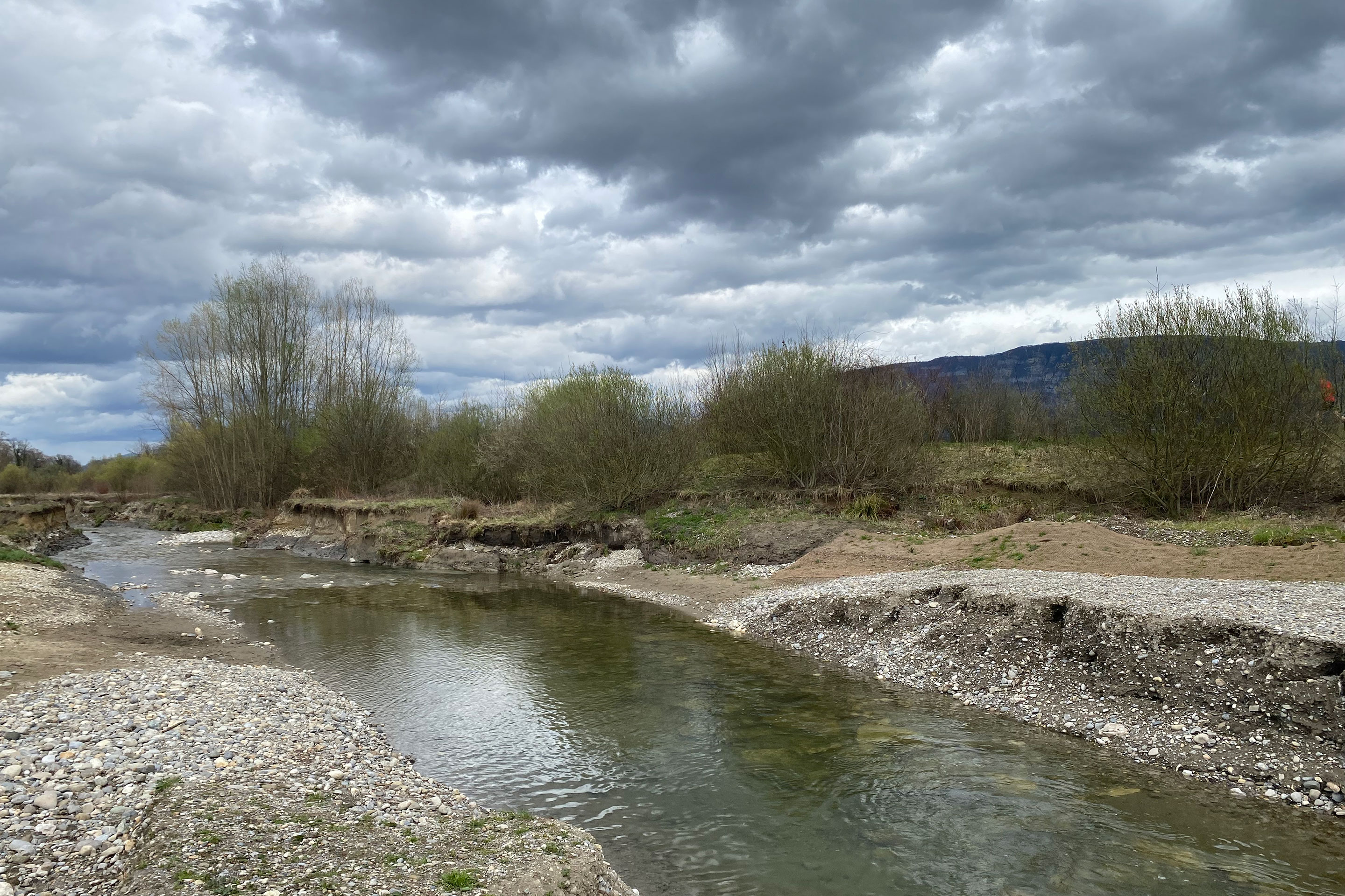 Nach jedem starken Regen sieht der Flusslauf anders aus: Die Renaturierung der Aire bei Genf war ein voller Erfolg.